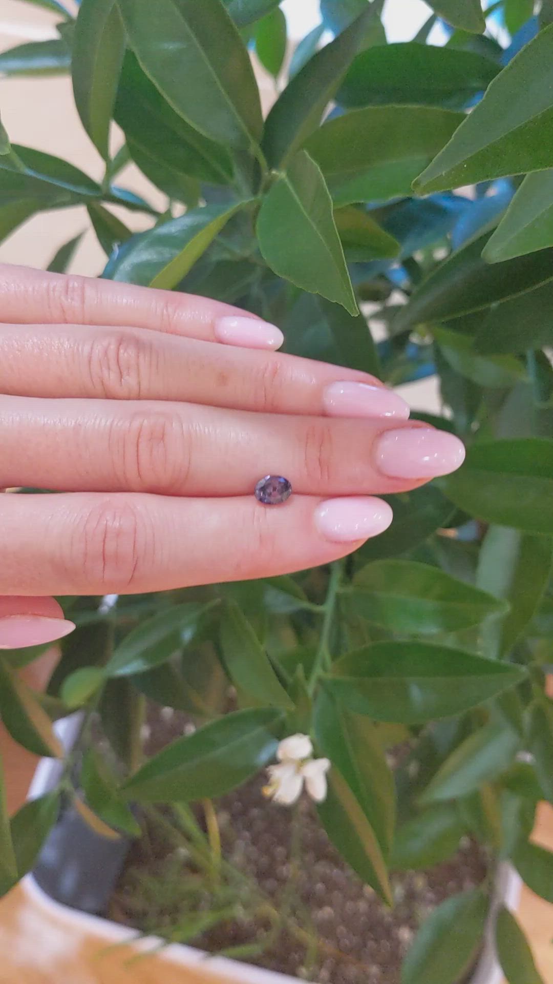 0.90 Ct. Alexandrite from Brazil Size Video