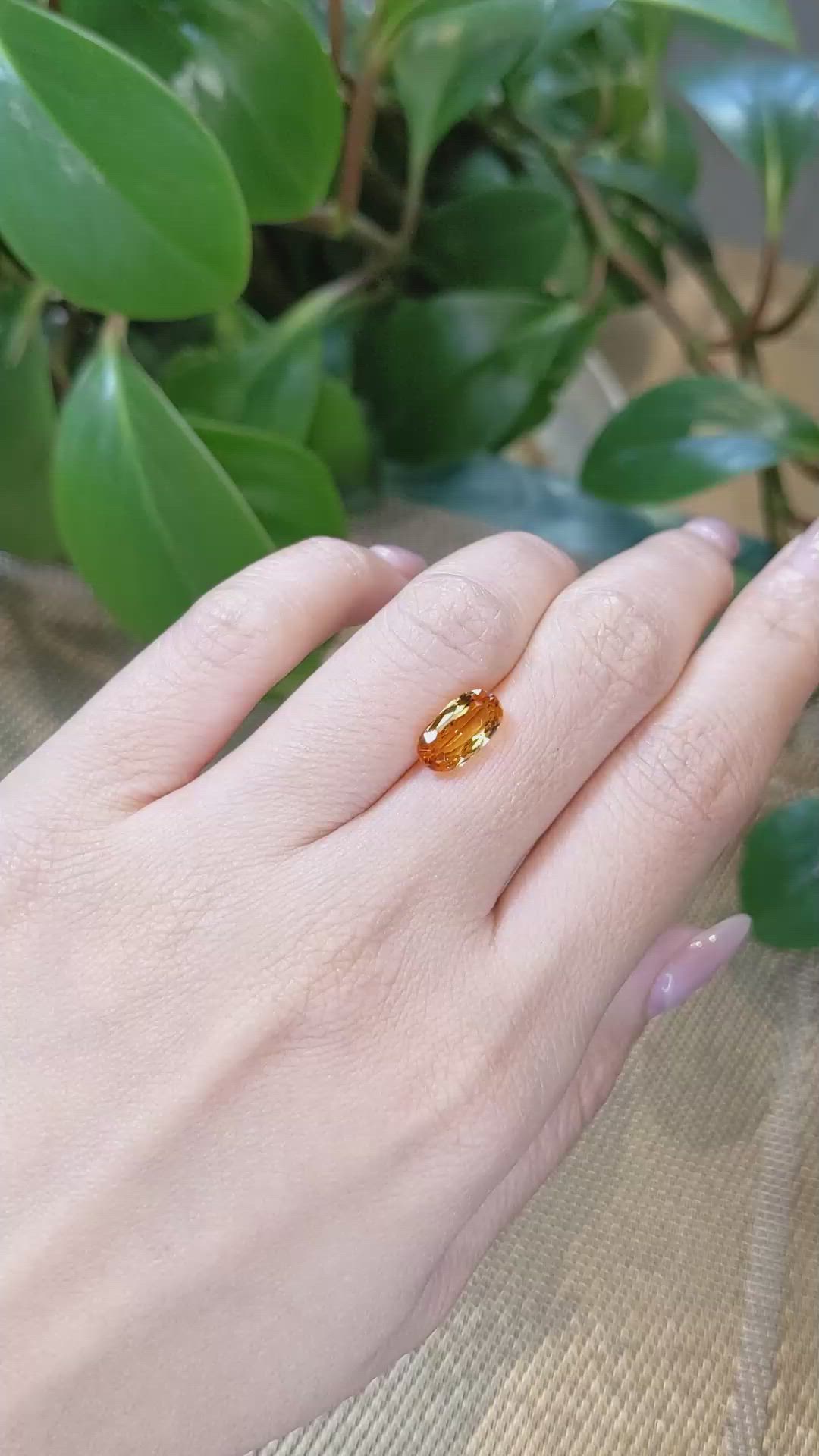 2.69 Ct. Precious Topaz from Brazil Size Video