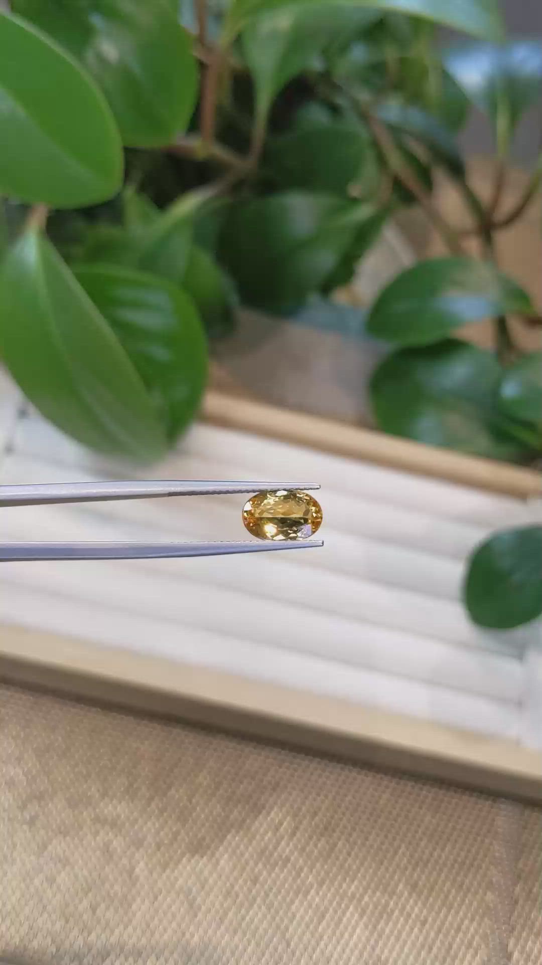 2.73 Ct. Precious Topaz from Brazil Size Video