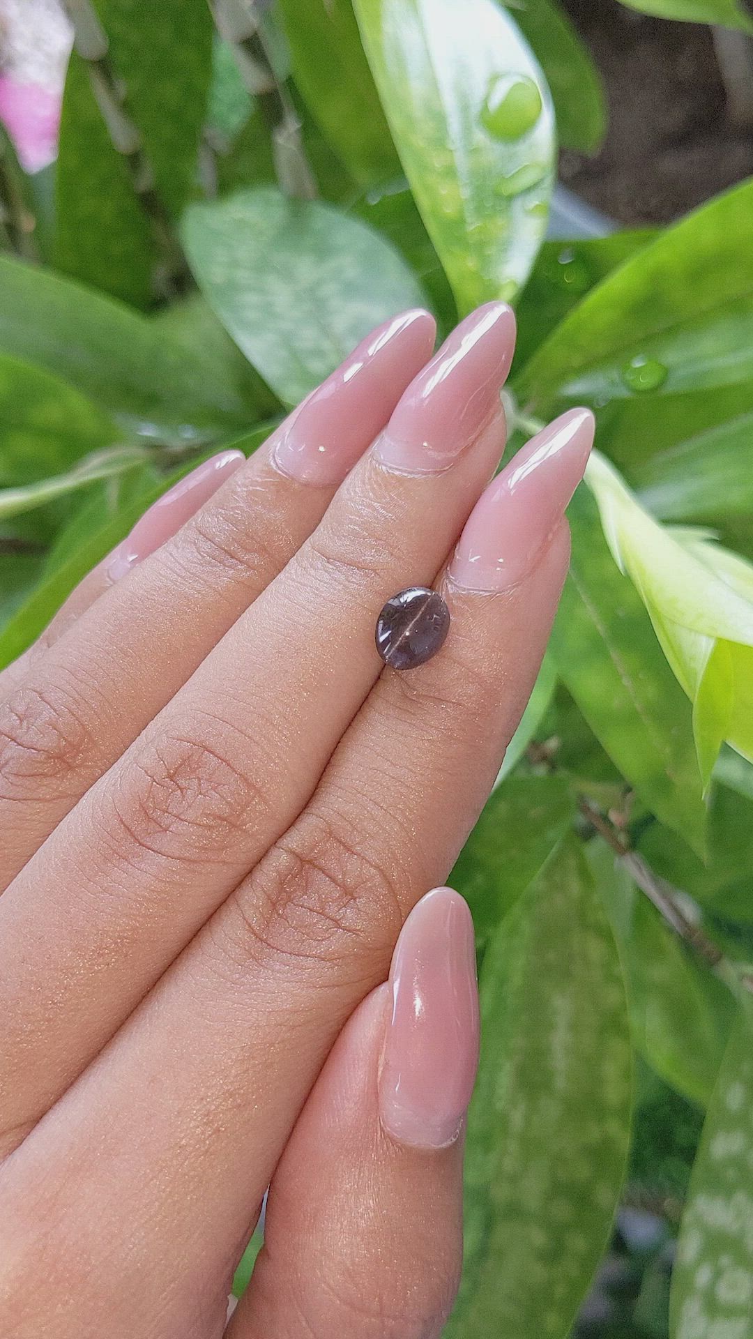 1.43 Ct. Cabochon Chrysoberyl from Ceylon (Sri Lanka) Size Video