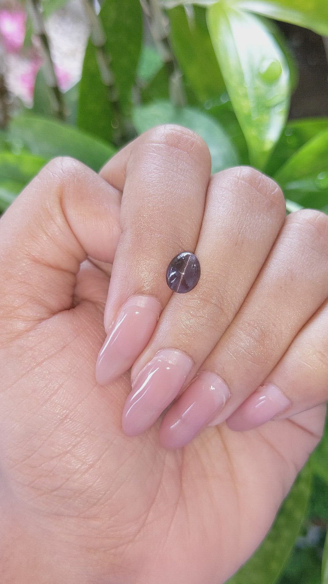 1.43 Ct. Cabochon Chrysoberyl from Ceylon (Sri Lanka) Size Video