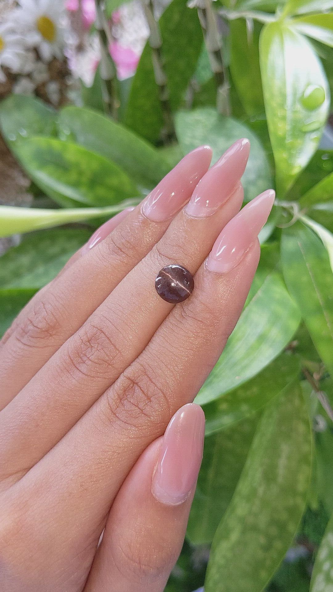 2.14 Ct. Cabochon Chrysoberyl from Ceylon (Sri Lanka) Size Video