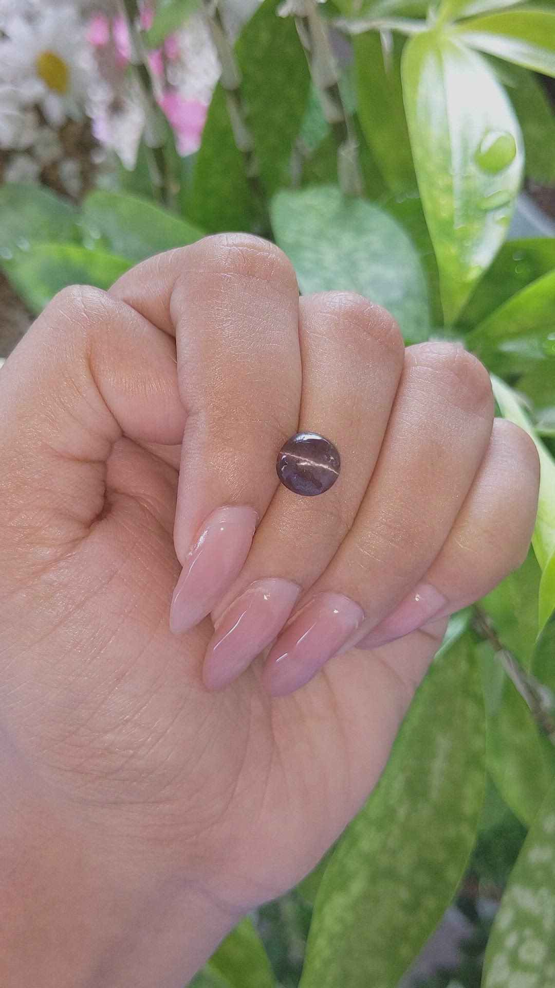 2.14 Ct. Cabochon Chrysoberyl from Ceylon (Sri Lanka) Size Video