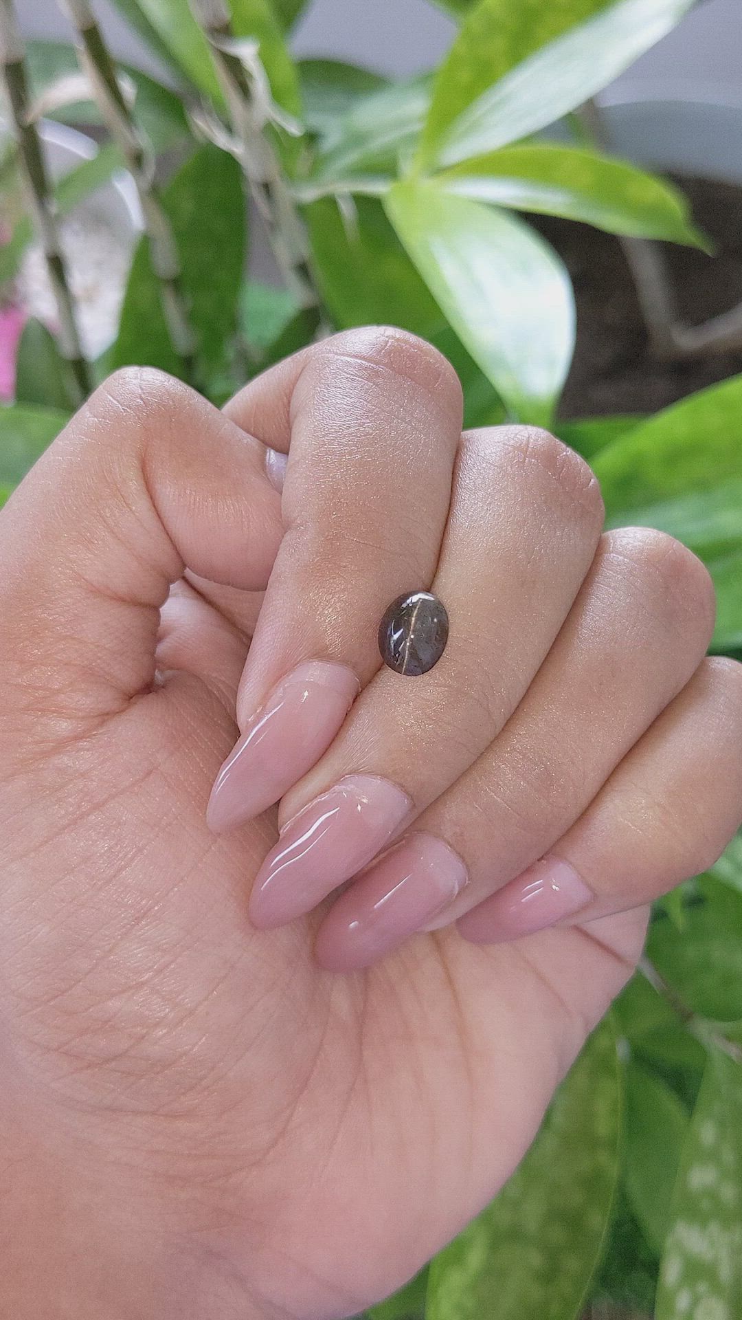 1.77 Ct. Cabochon Chrysoberyl from Ceylon (Sri Lanka) Size Video