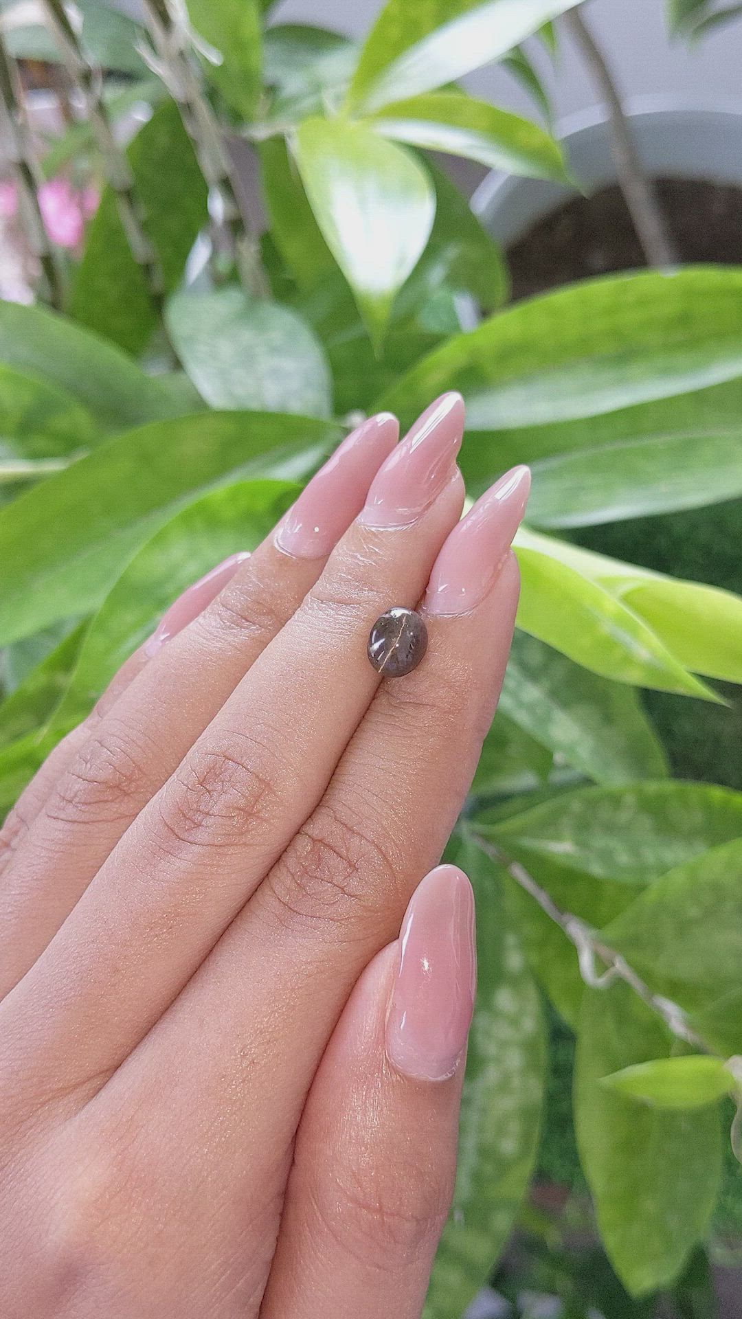 1.77 Ct. Cabochon Chrysoberyl from Ceylon (Sri Lanka) Size Video