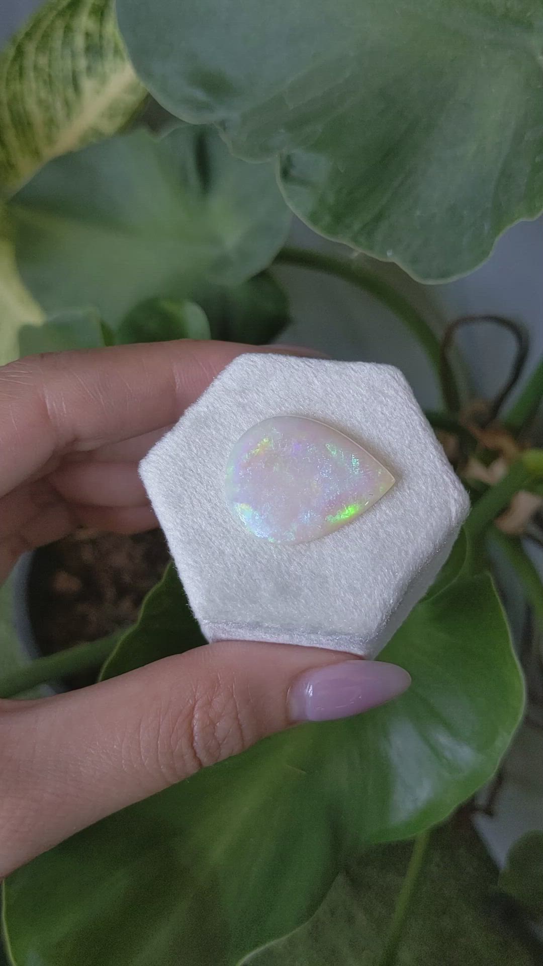 11.32 Ct. Cabochon White Opal from Australia Size Video