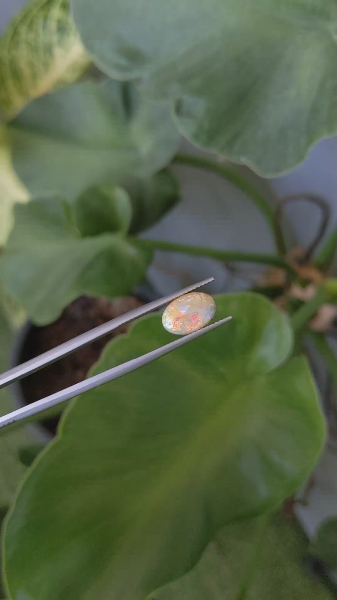 2.19 Ct. Cabochon Boulder Opal from Australia Size Video