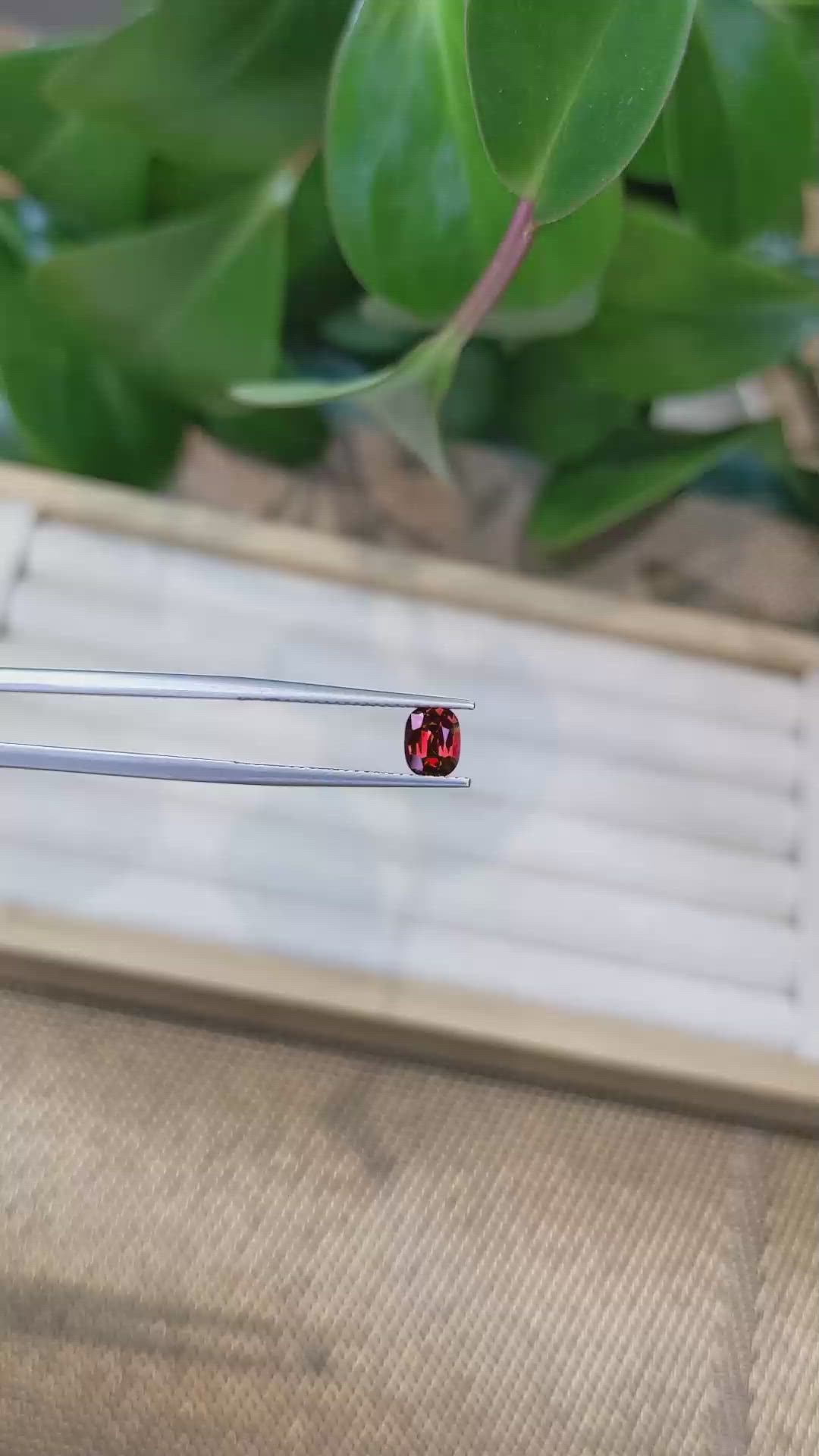 0.76 Ct. Garnet from Ceylon (Sri Lanka) Size Video