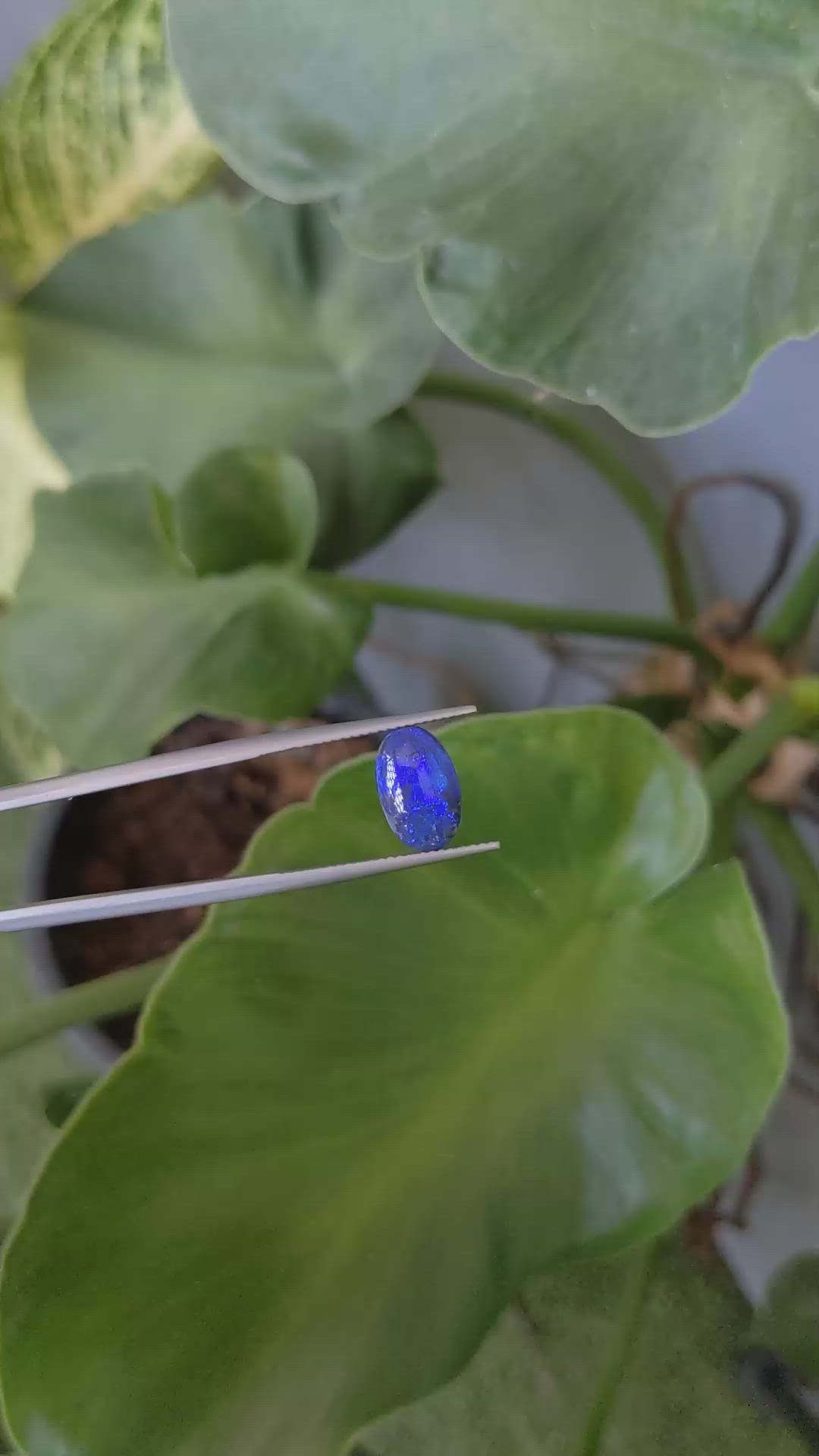 2.02 Ct. Cabochon Boulder Opal from Australia Size Video