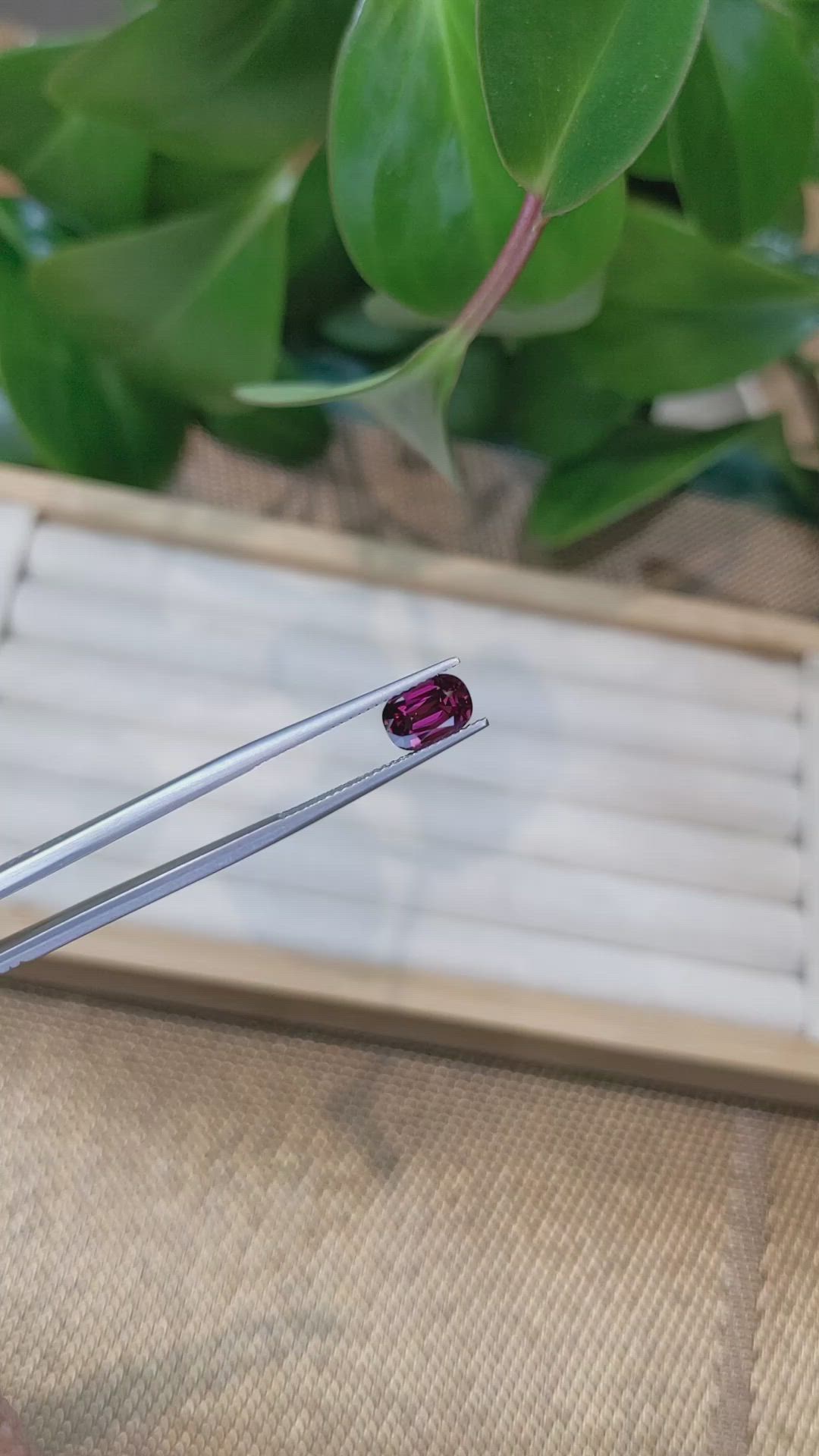 1.69 Ct. Garnet from Ceylon (Sri Lanka) Size Video