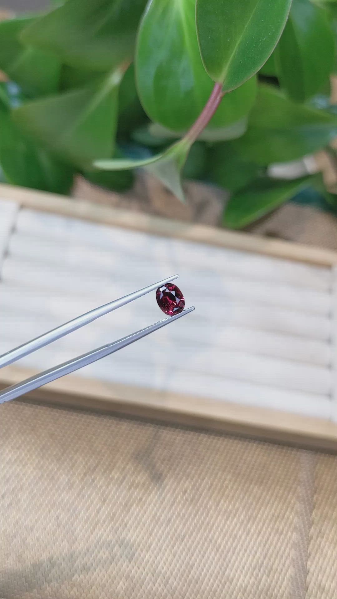 1.47 Ct. Garnet from Ceylon (Sri Lanka) Size Video