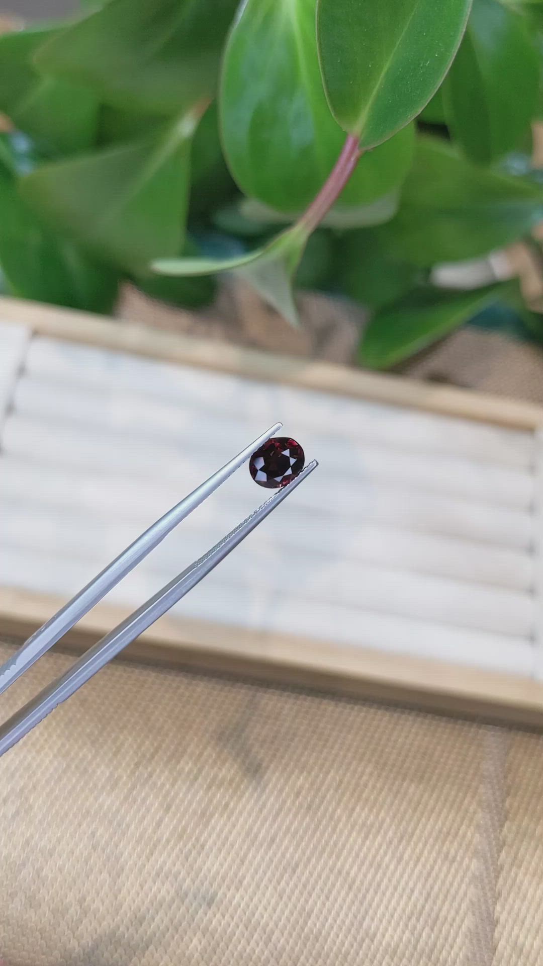 1.82 Ct. Garnet from Ceylon (Sri Lanka) Size Video