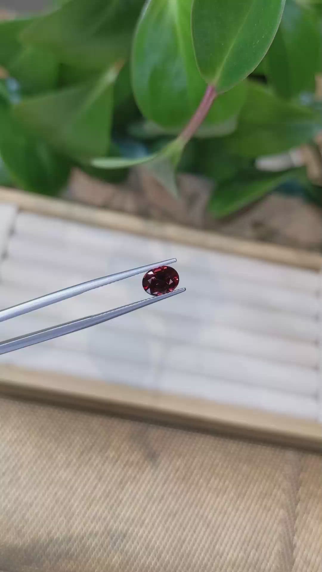 1.64 Ct. Garnet from Ceylon (Sri Lanka) Size Video