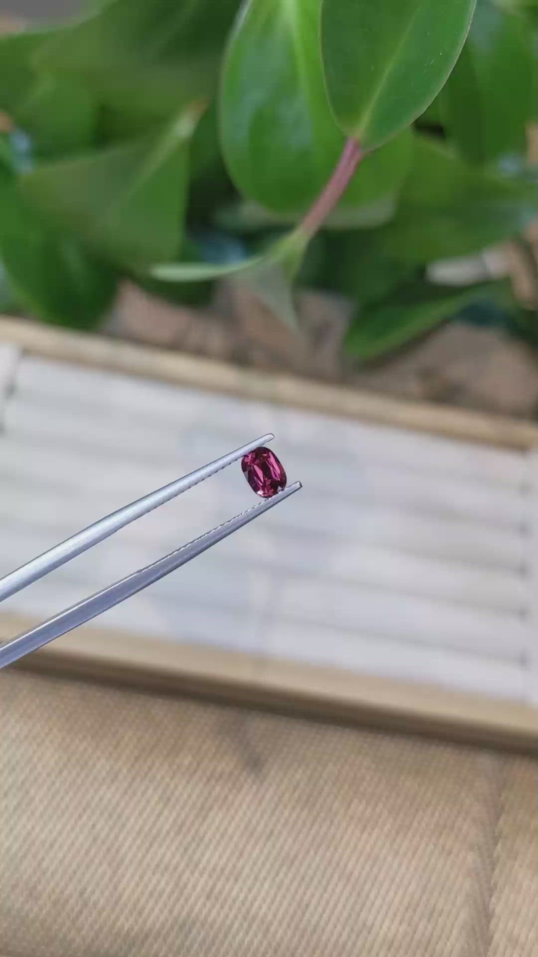 0.65 Ct. Garnet from Ceylon (Sri Lanka) Size Video