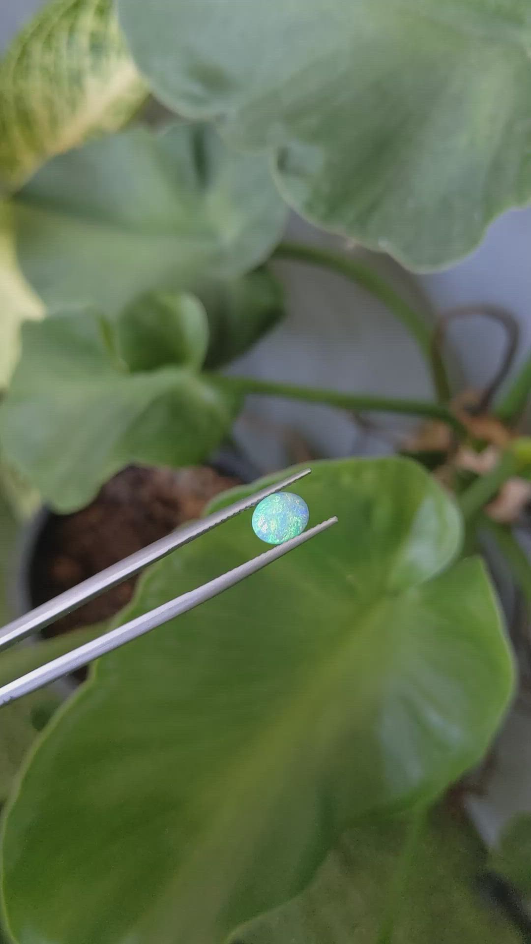 1.20 Ct. Cabochon Boulder Opal from Australia Size Video