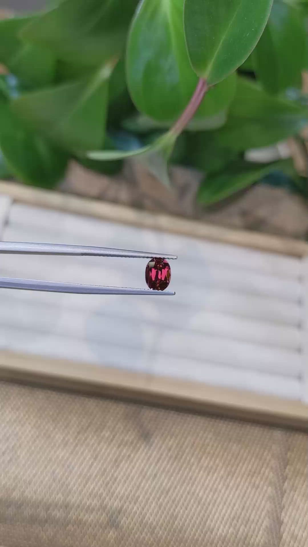 1.34 Ct. Garnet from Ceylon (Sri Lanka) Size Video