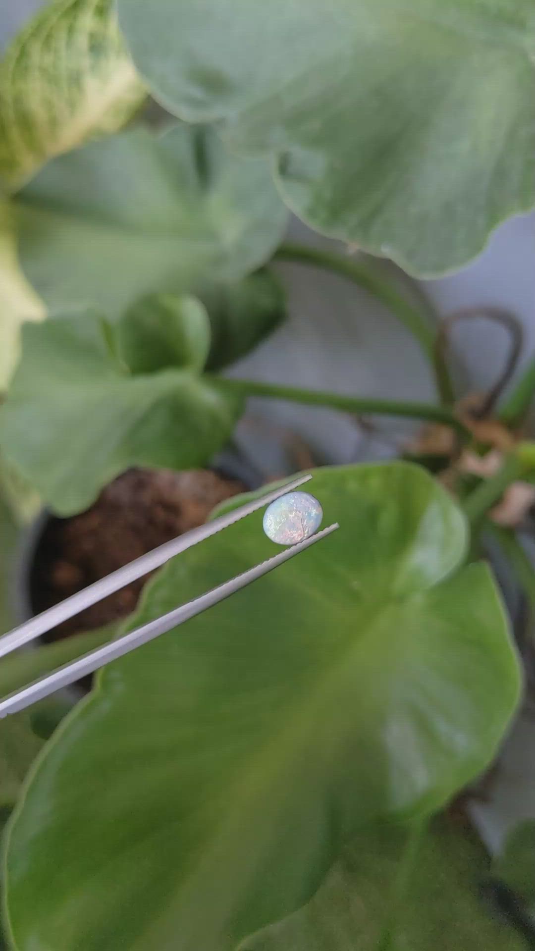 1.02 Ct. Cabochon Boulder Opal from Australia Size Video