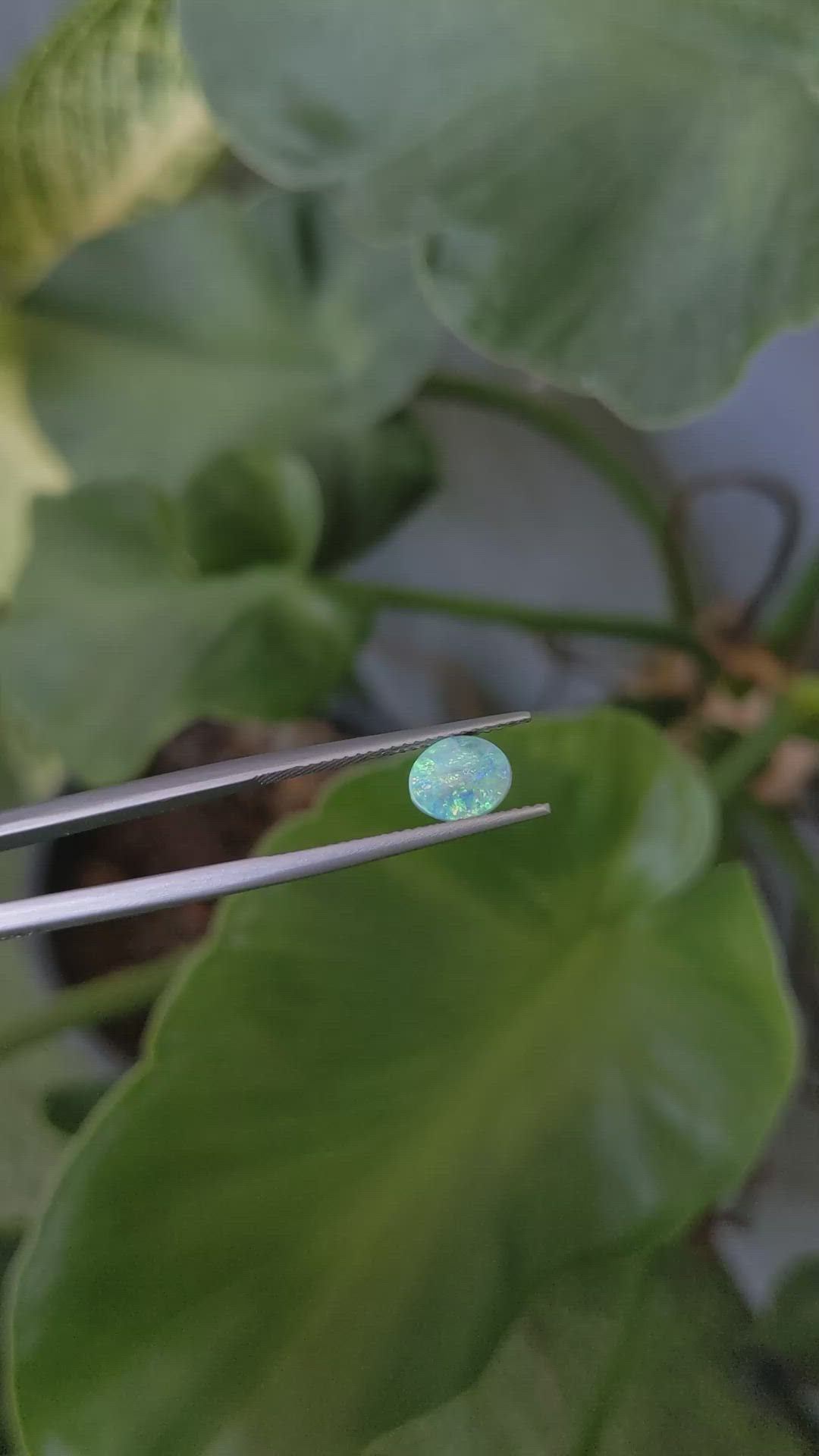 0.77 Ct. Cabochon Boulder Opal from Australia Size Video