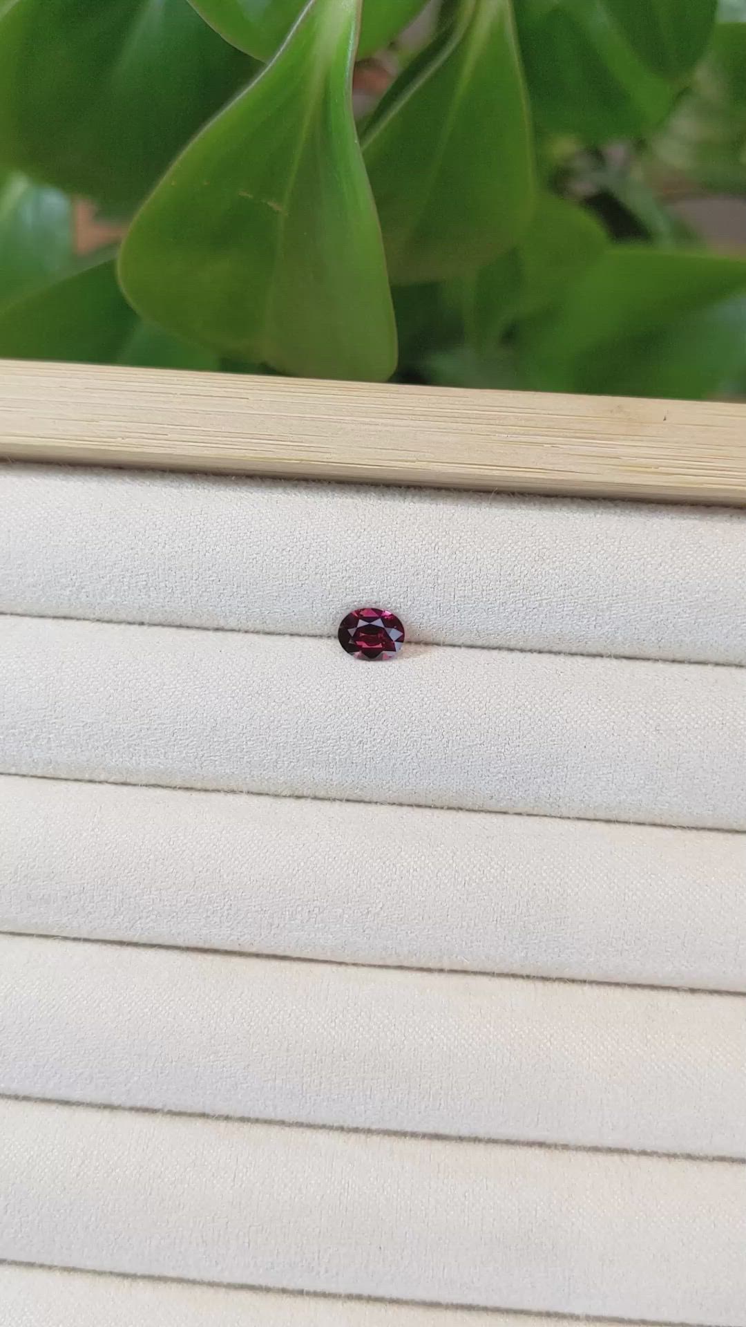 0.79 Ct. Garnet from Ceylon (Sri Lanka) Size Video