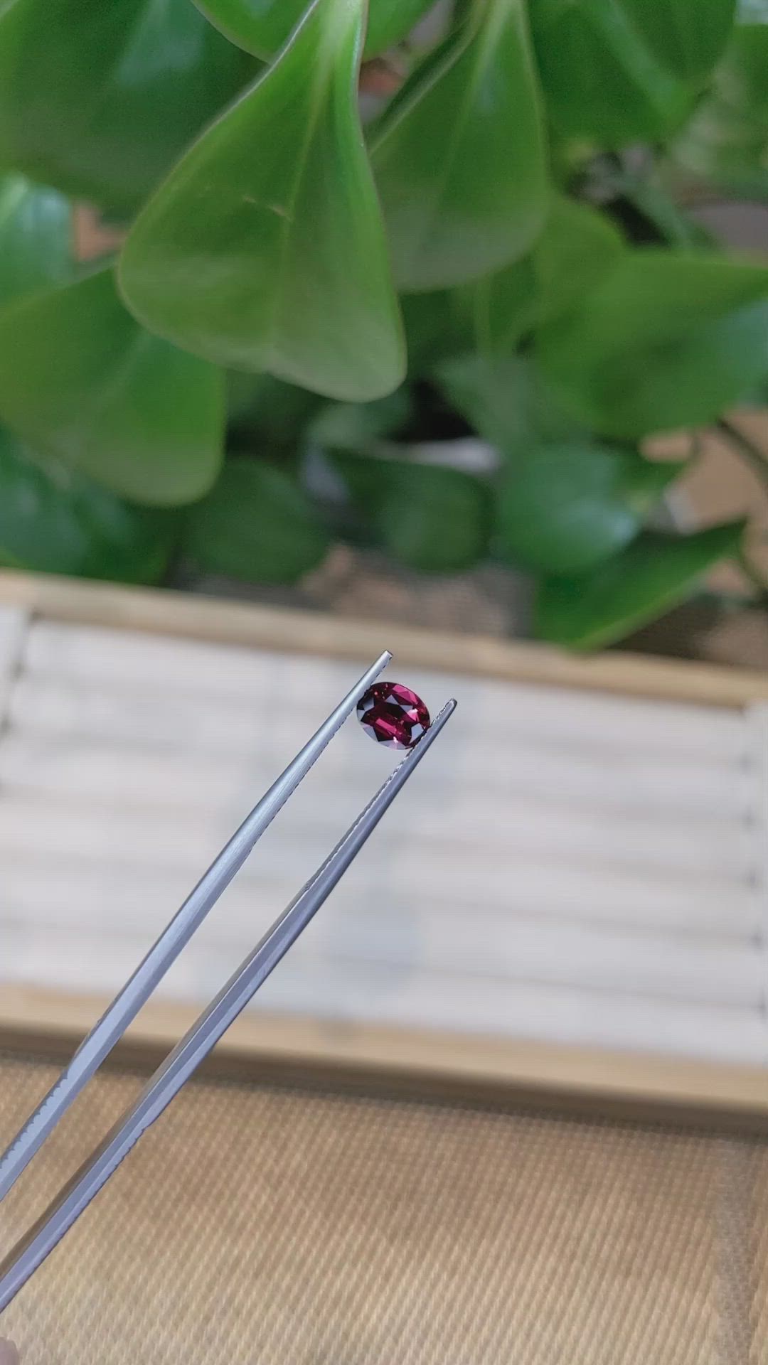 0.79 Ct. Garnet from Ceylon (Sri Lanka) Size Video