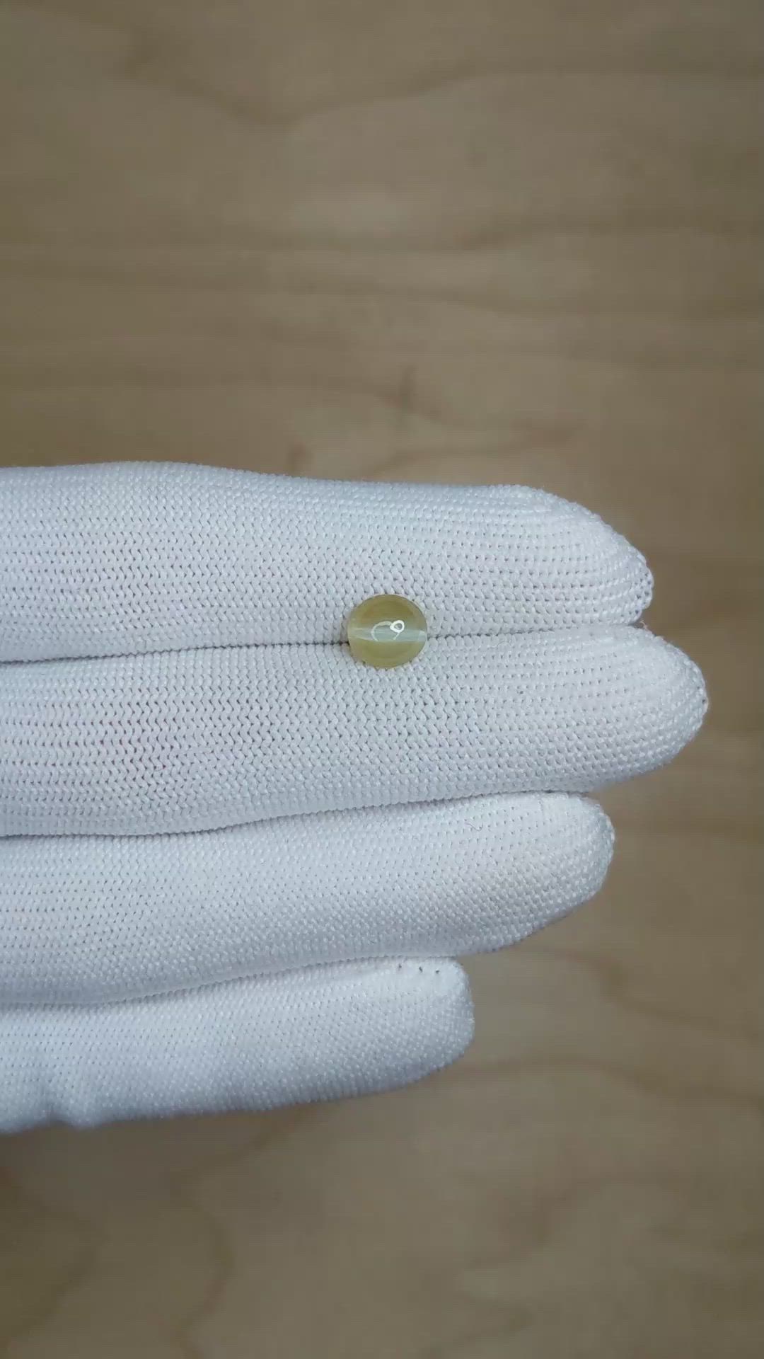 1.66 Ct. Cabochon Chrysoberyl from Ceylon (Sri Lanka) Size Video