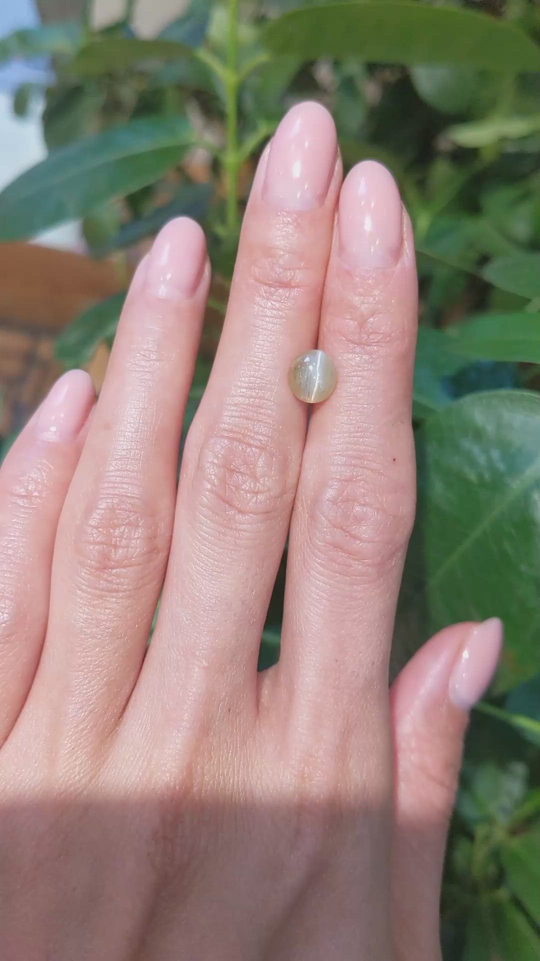 1.66 Ct. Cabochon Chrysoberyl from Ceylon (Sri Lanka) Size Video