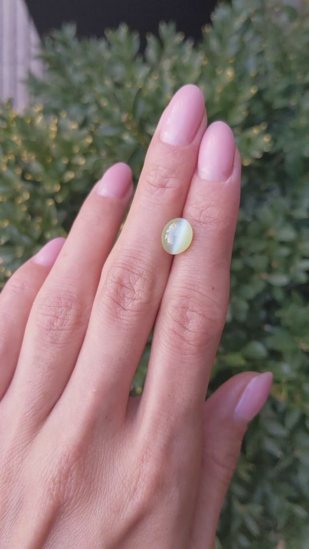 3.62 Ct. Chrysoberyl from Ceylon (Sri Lanka) Size Video