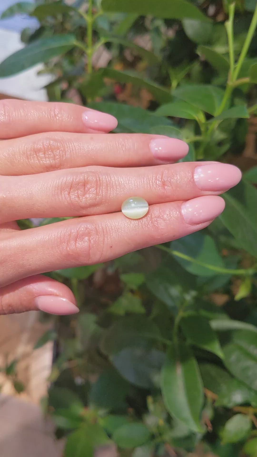 3.62 Ct. Chrysoberyl from Ceylon (Sri Lanka) Size Video