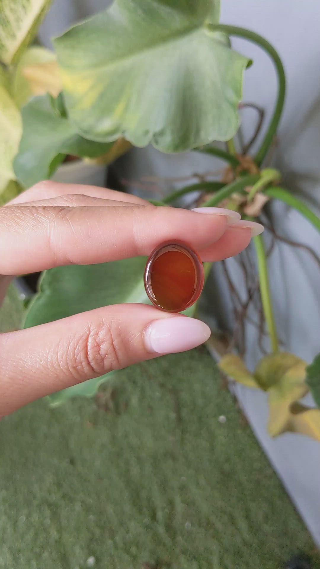 18.77 Ct. Cabochon Agate from Namibia Size Video