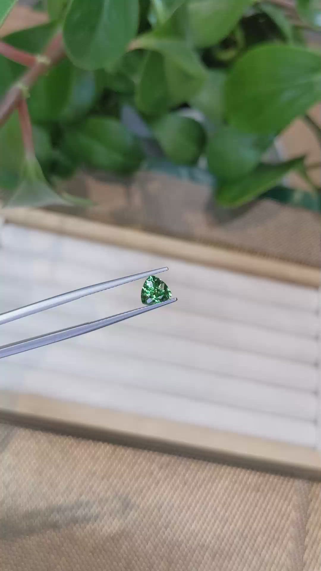 1.27 Ct. Tsavorite Garnet from Tanzania Size Video