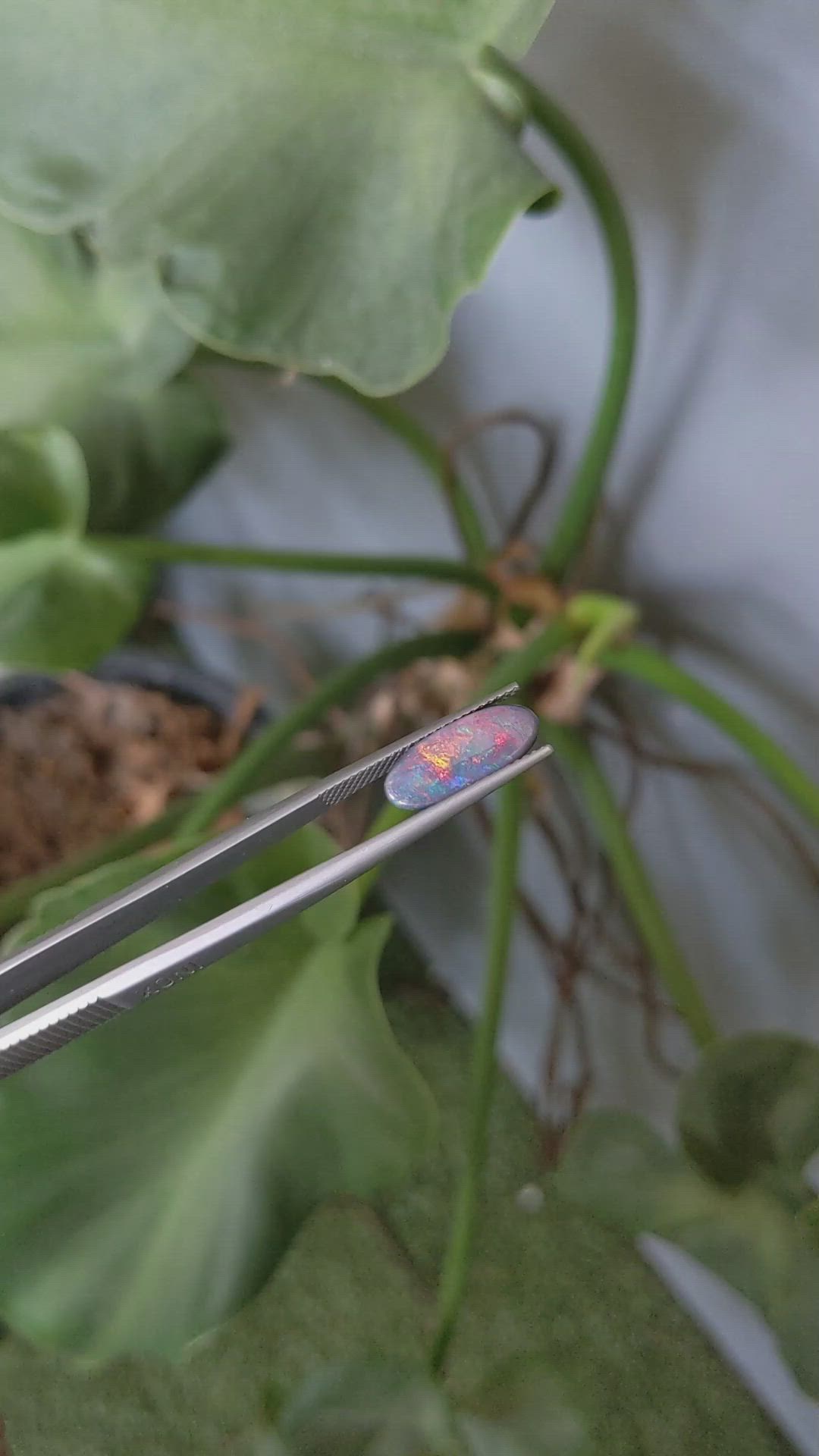 2.43 Ct. Cabochon Semi-Black Opal from Australia Size Video