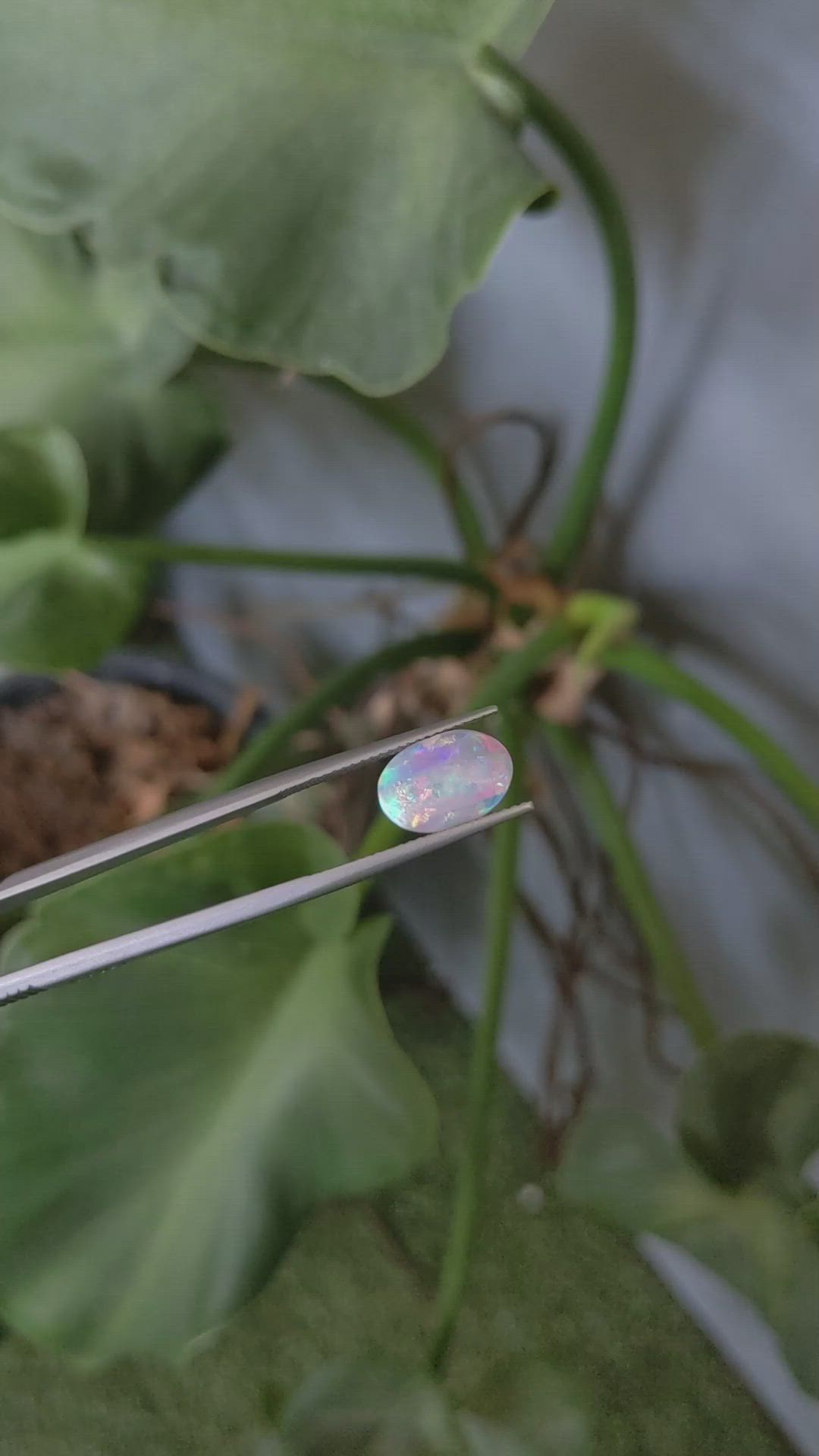 1.75 Ct. Cabochon Crystal/Jelly Opal from Australia Size Video