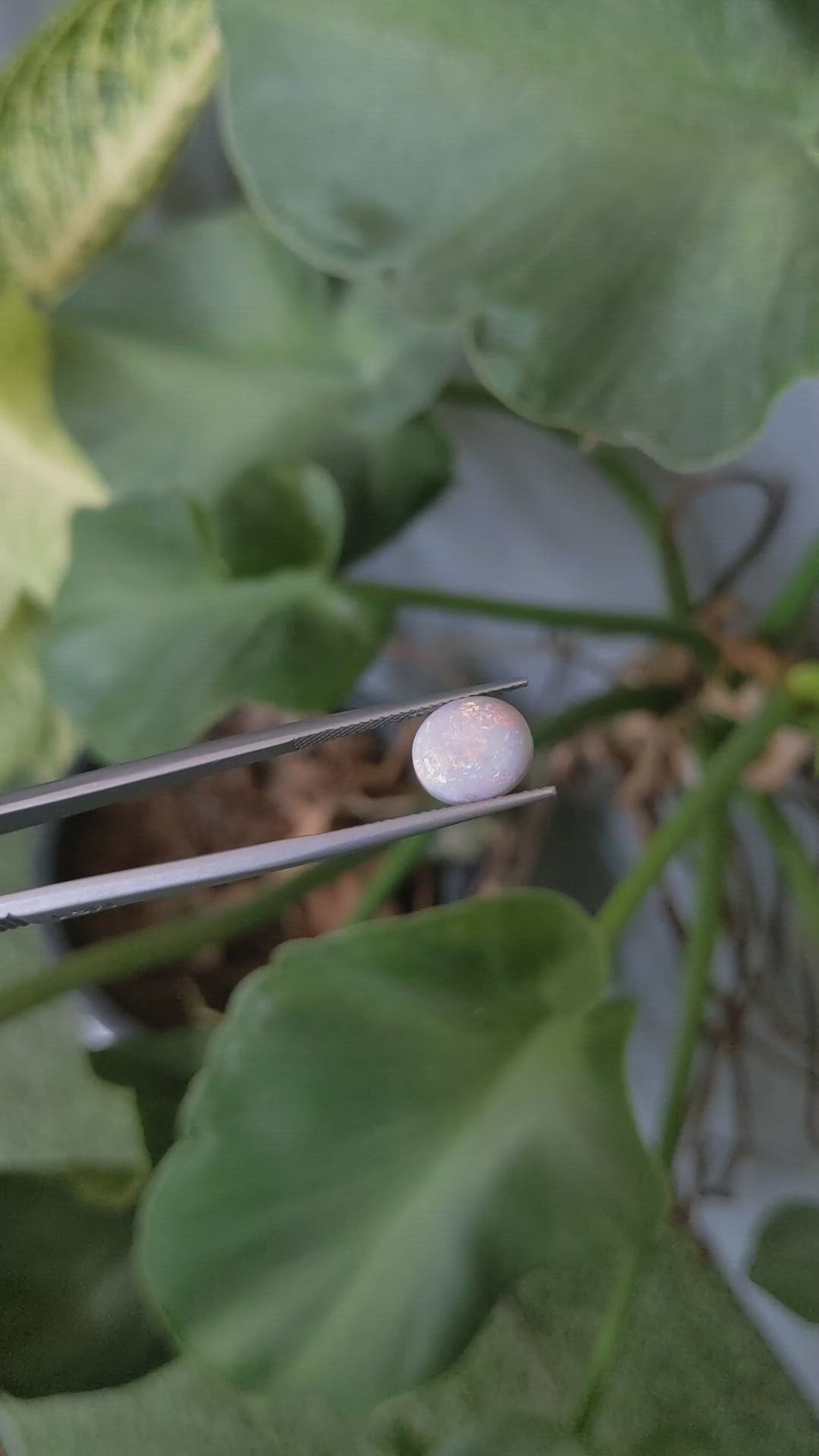 2.39 Ct. White Opal from Australia Size Video