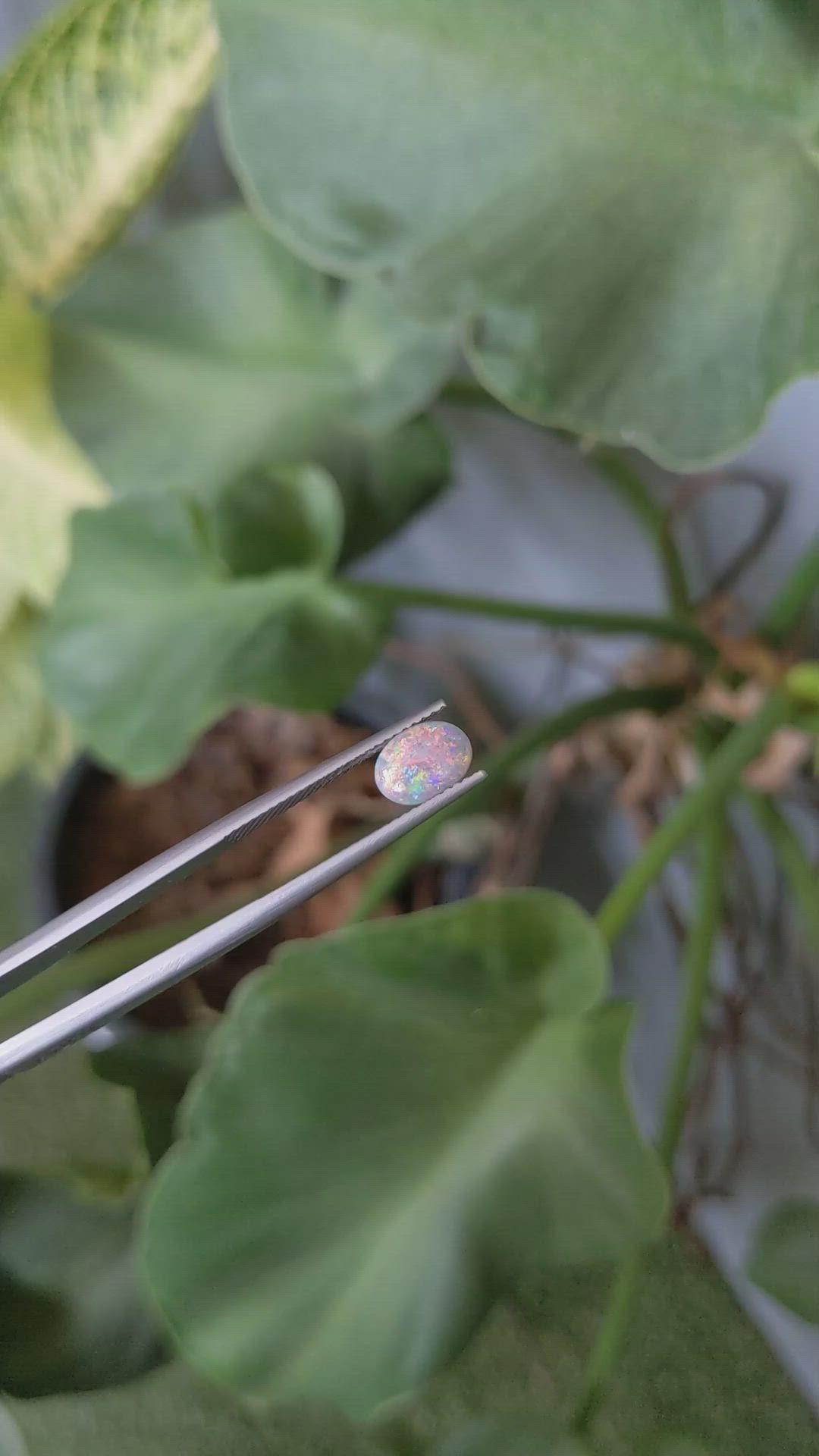 0.72 Ct. Semi-Black Opal from Australia Size Video