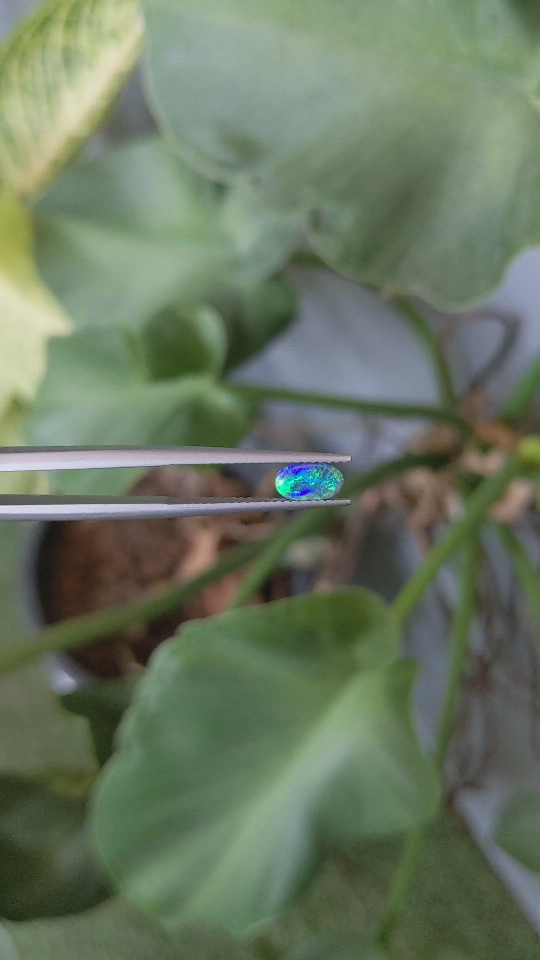 0.39 Ct. Cabochon Black Opal from Australia Size Video