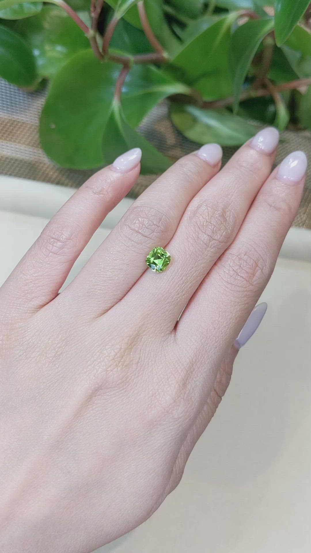 1.59 Ct. Peridot from Pakistan Size Video