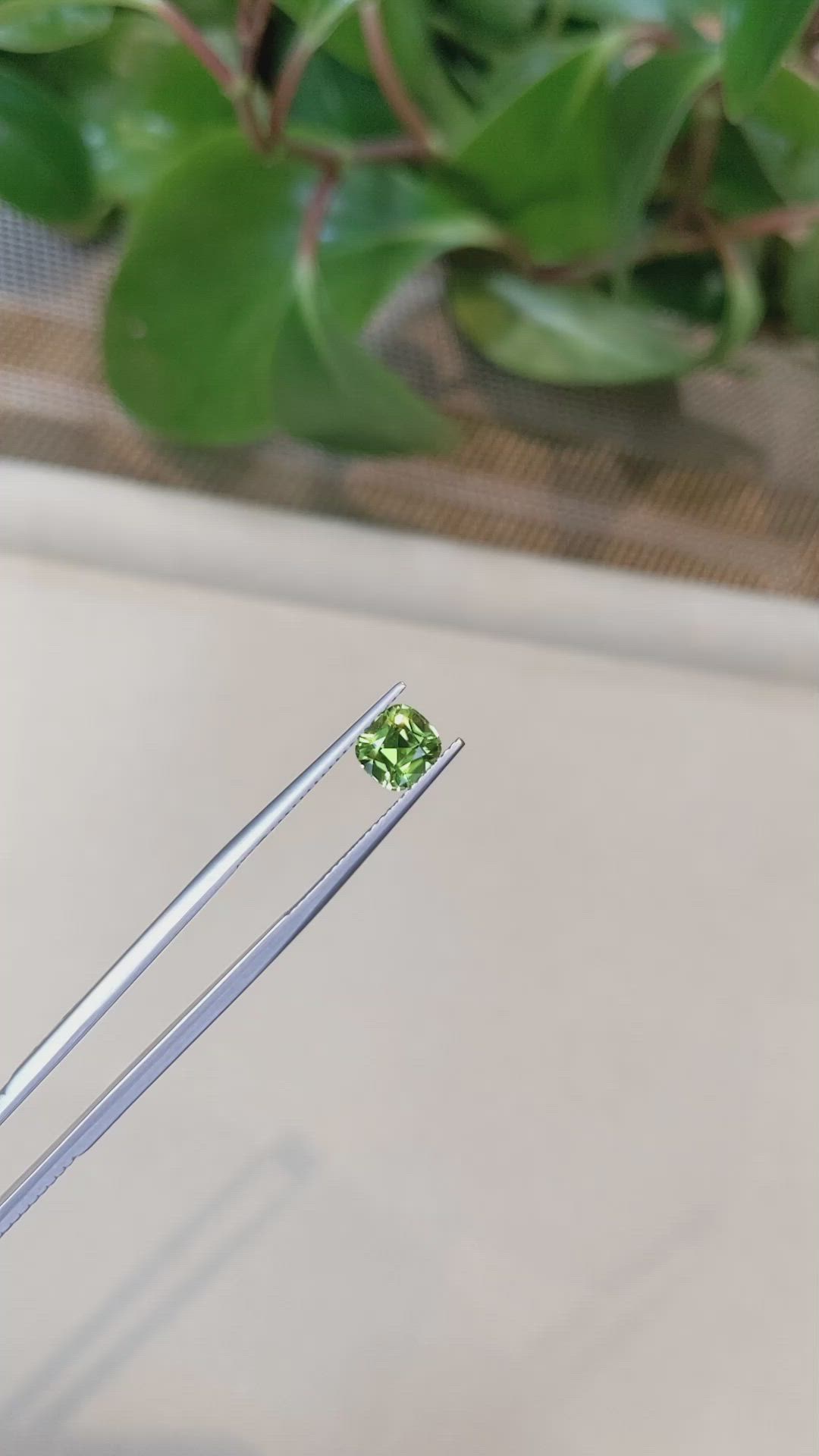 1.59 Ct. Peridot from Pakistan Size Video
