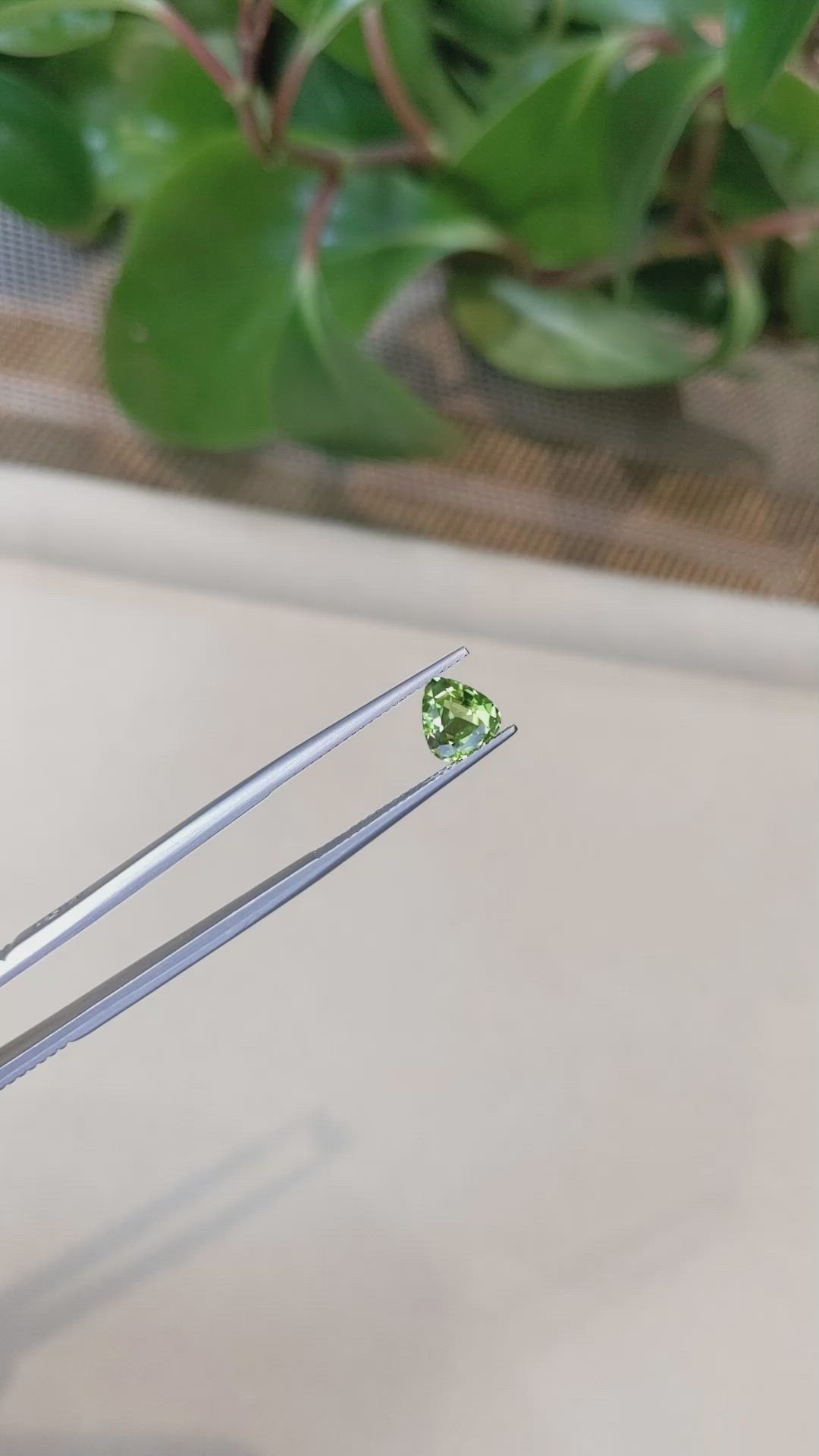 1.48 Ct. Peridot from Pakistan Size Video