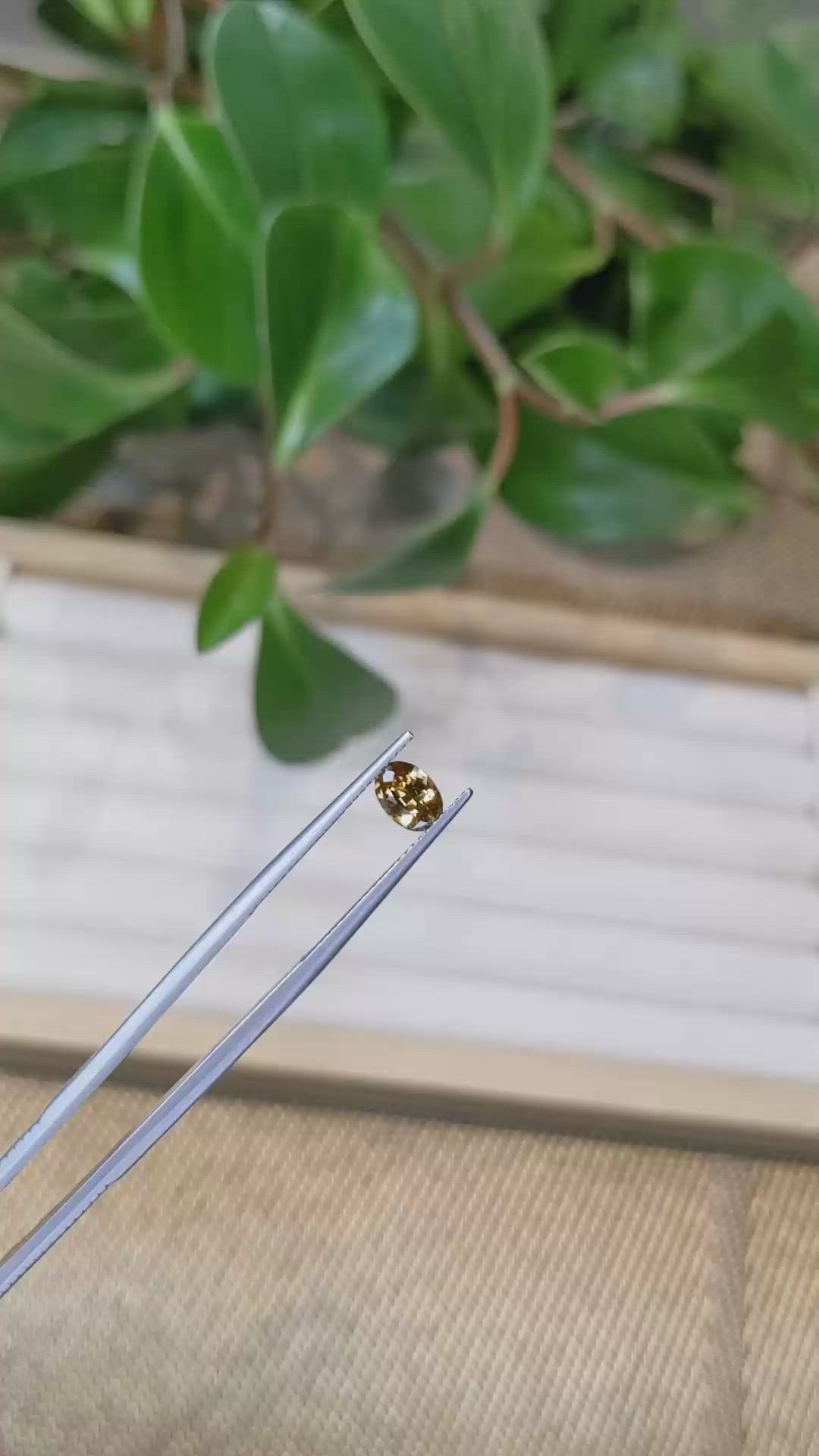 0.92 Ct. Zircon from Tanzania Size Video