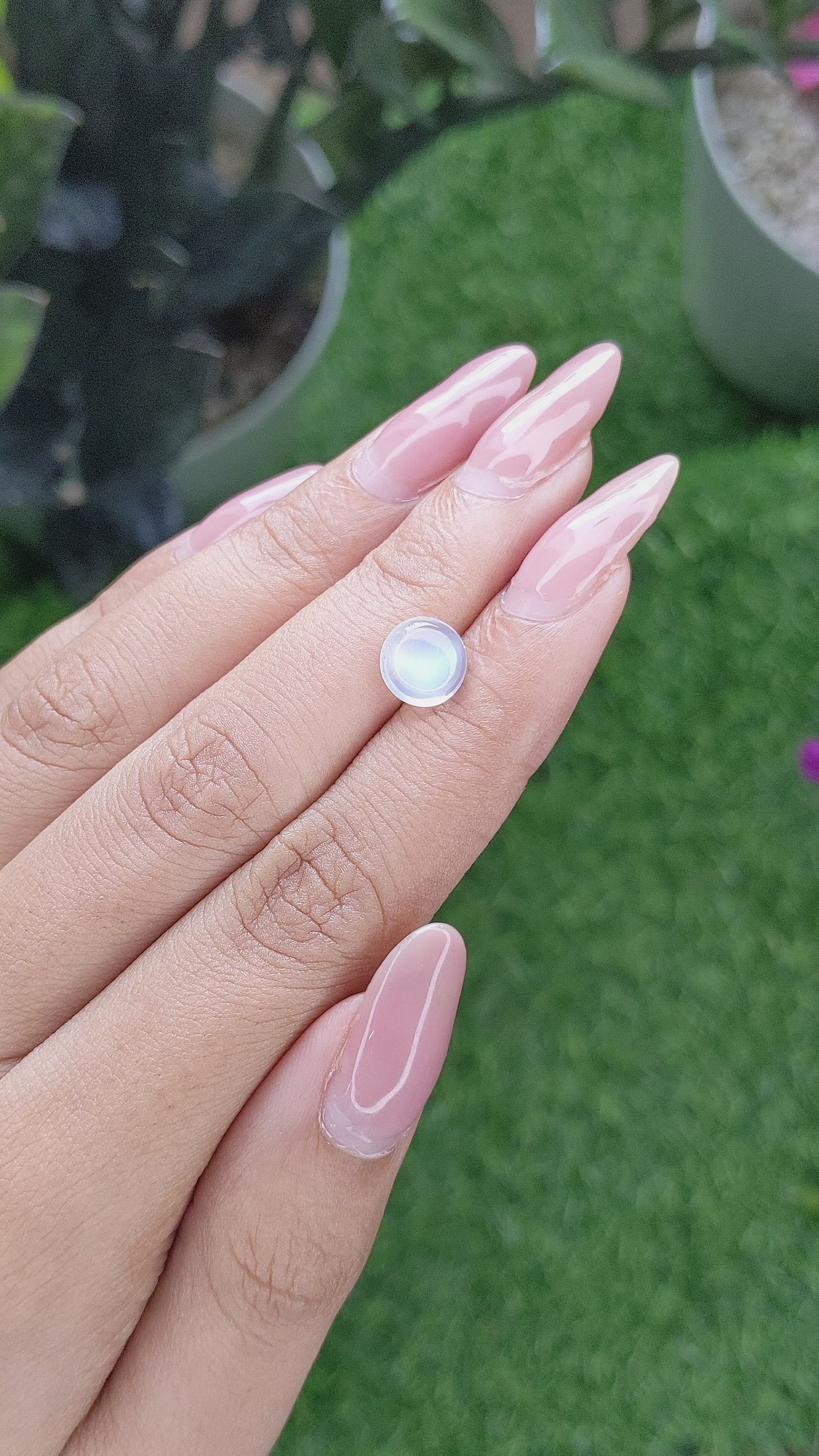 1.80 Ct. Blue Flash Cabochon Moonstone from Madagascar Size Video