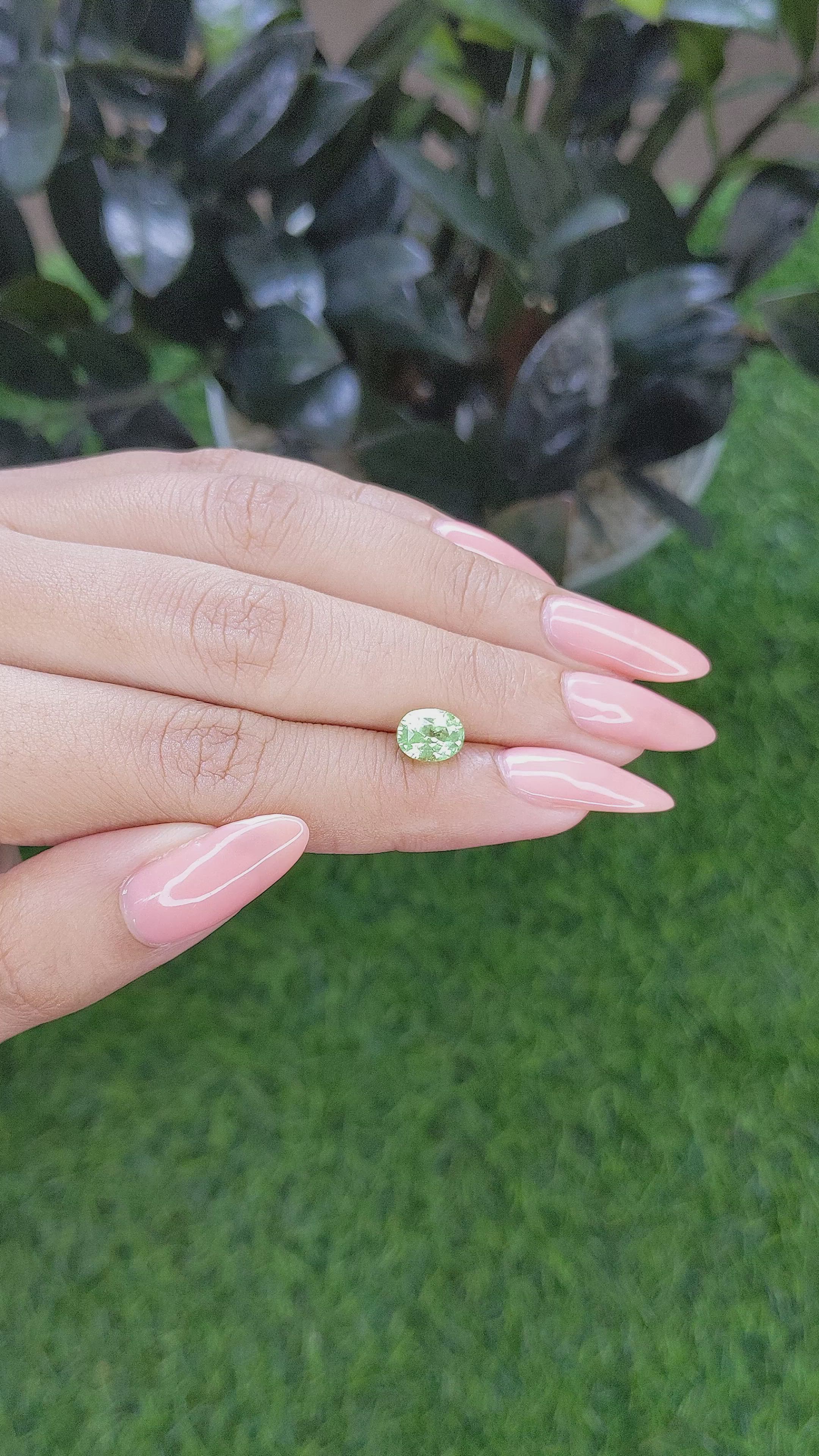 1.64 Ct. Tsavorite Garnet from Tanzania Size Video