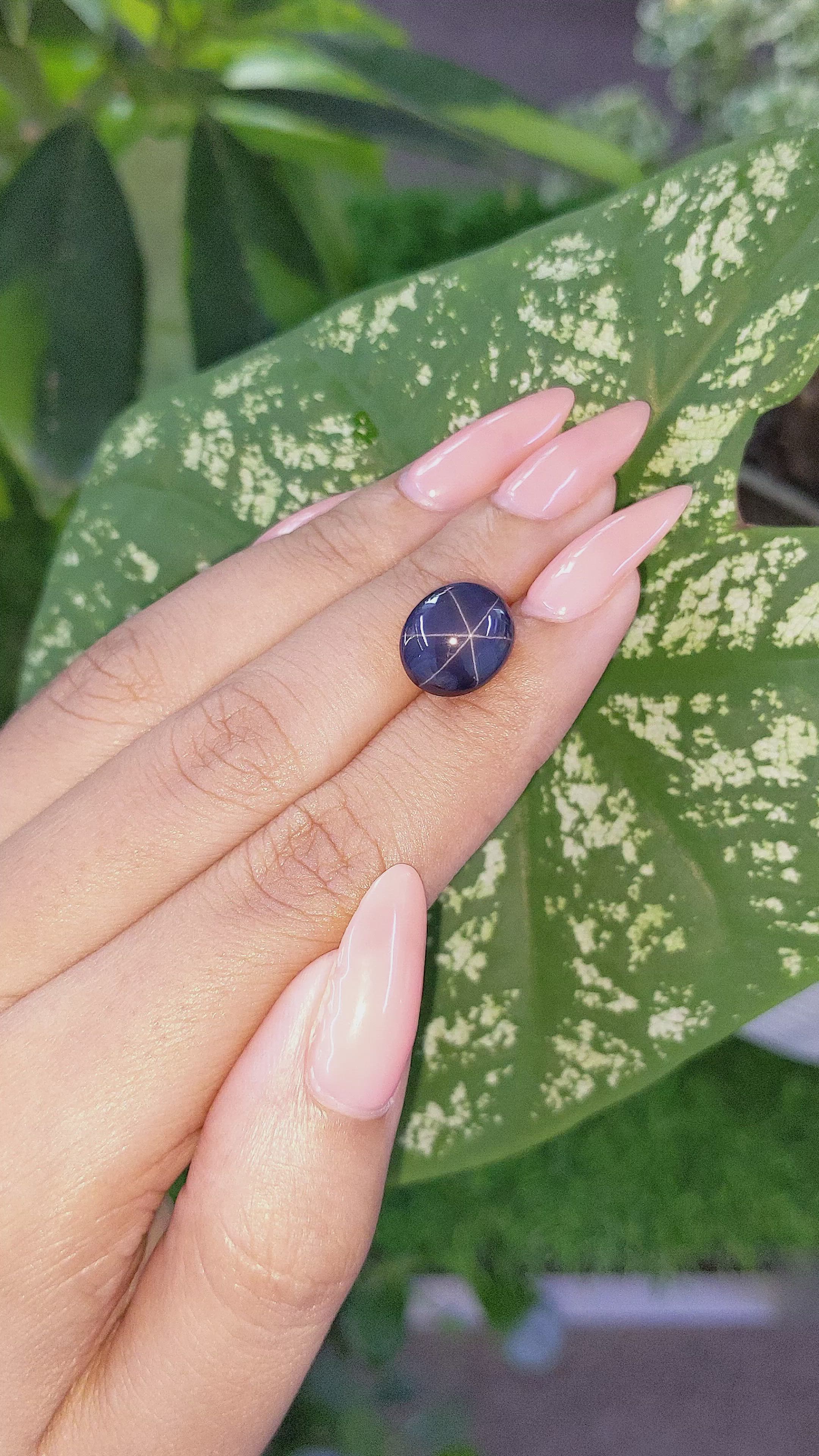 9.50 Ct. Violet Star Spinel from Ceylon (Sri Lanka) Size Video