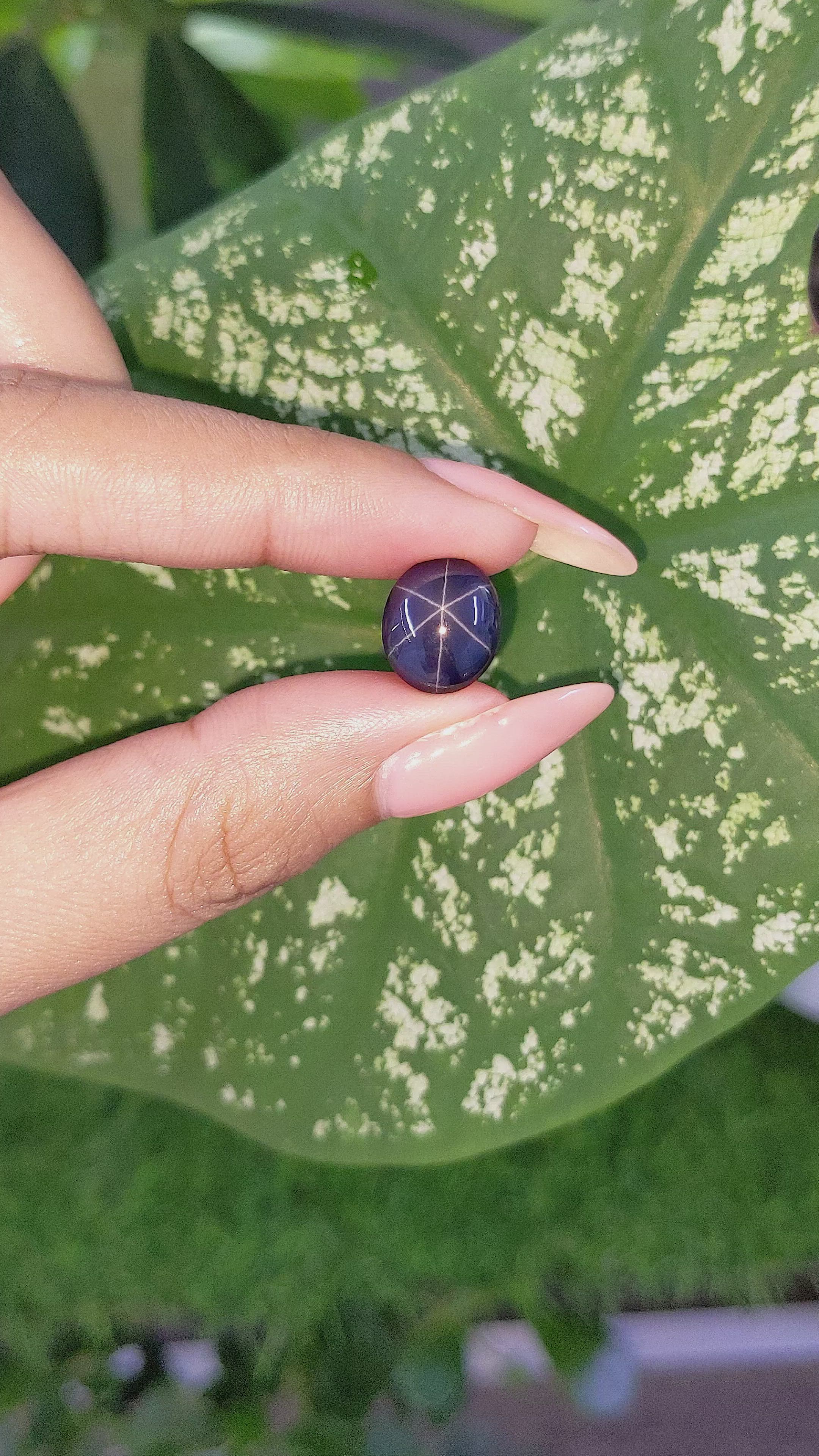 9.50 Ct. Violet Star Spinel from Ceylon (Sri Lanka) Size Video