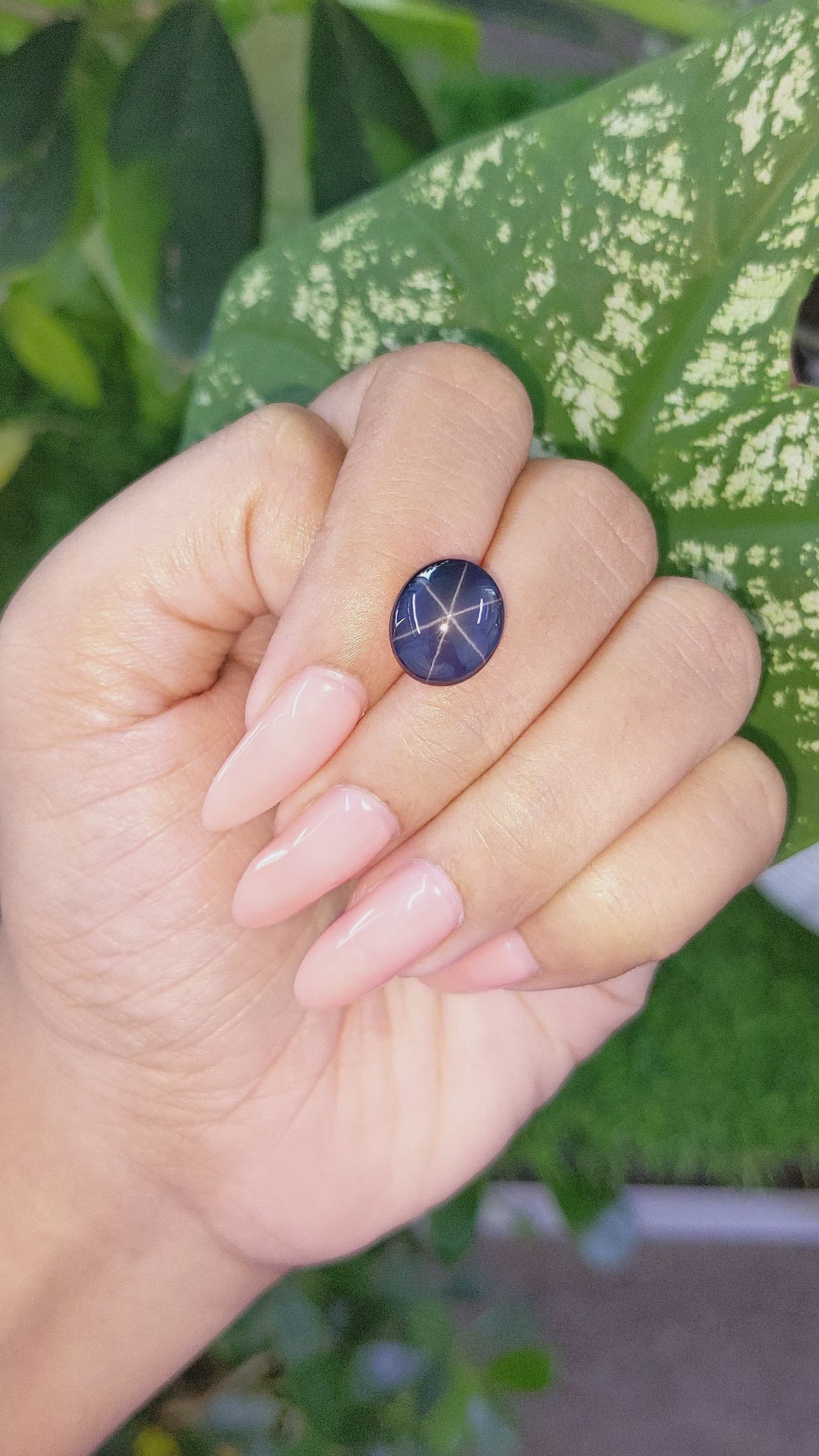 9.50 Ct. Violet Star Spinel from Ceylon (Sri Lanka) Size Video
