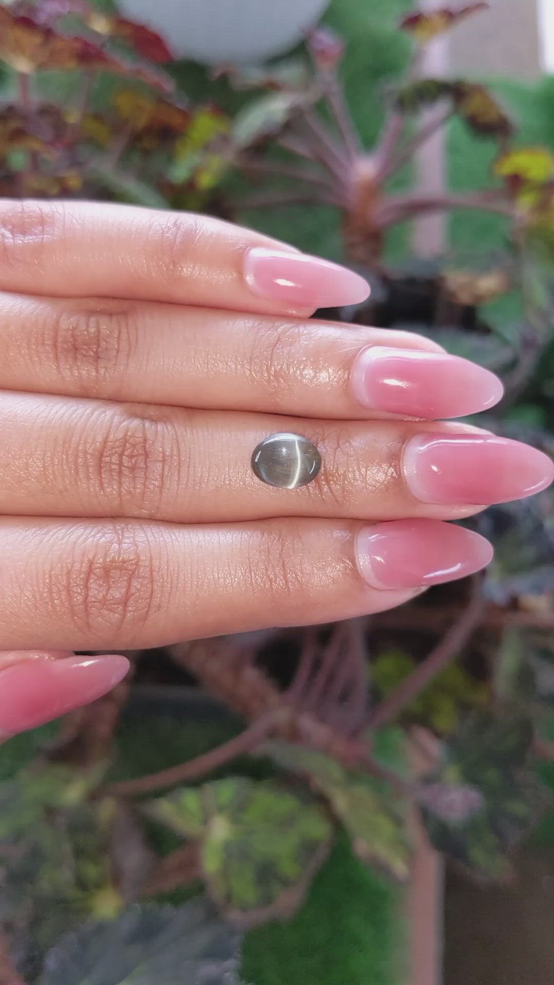 2.75 Ct. Cabochon Alexandrite from Ceylon (Sri Lanka) Size Video