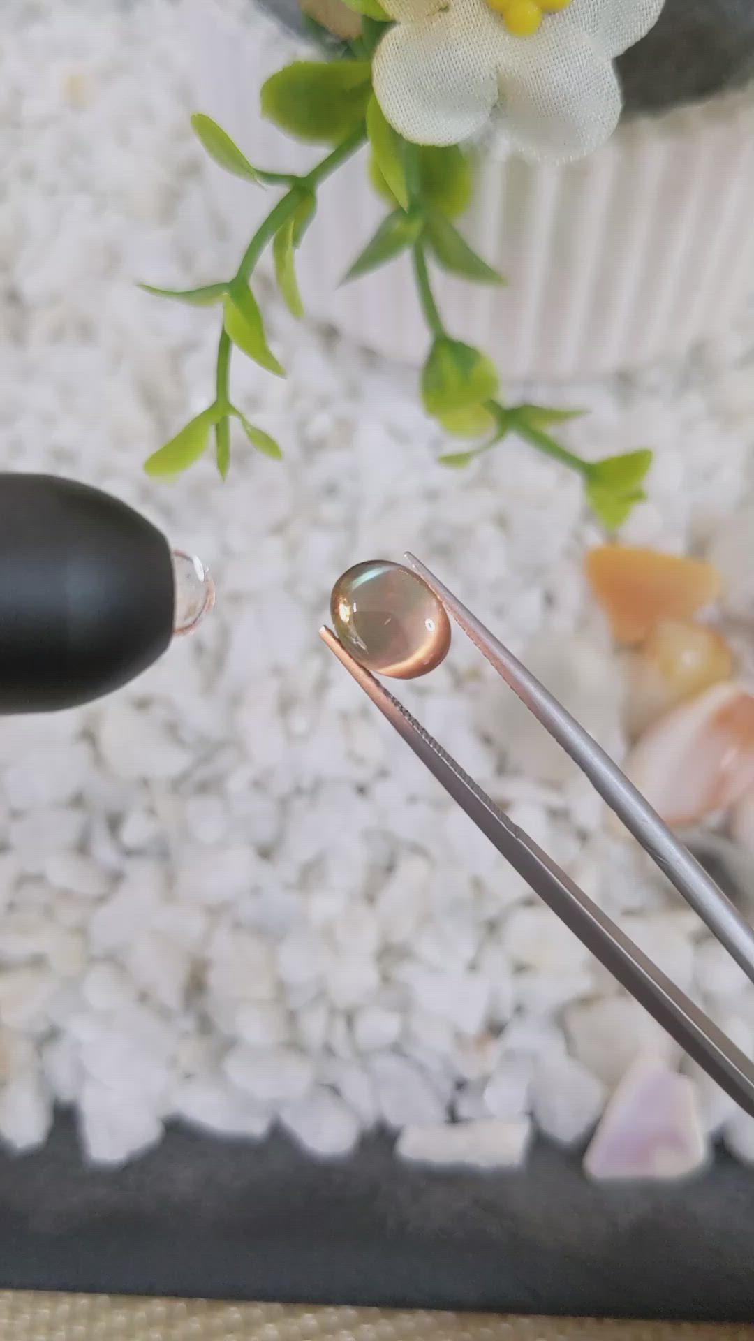 2.75 Ct. Cabochon Alexandrite from Ceylon (Sri Lanka) Size Video