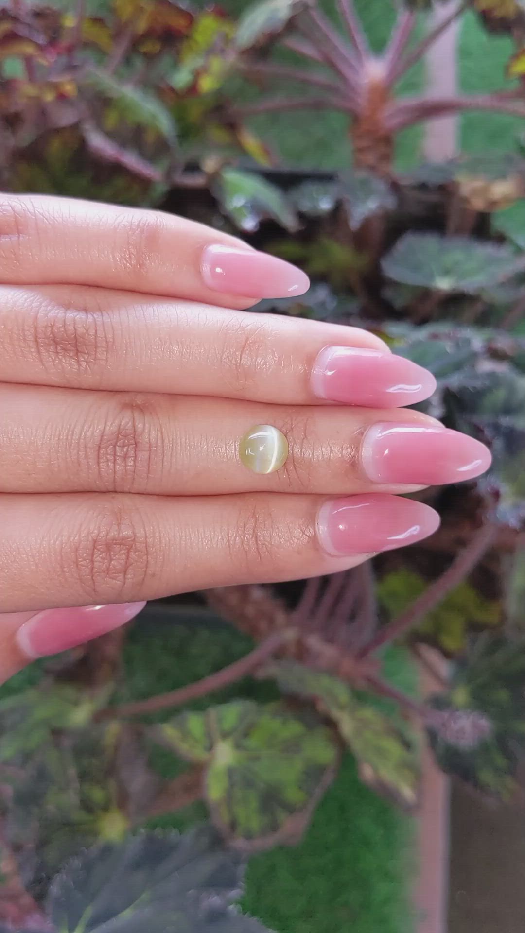 2.53 Ct. Cabochon Chrysoberyl from Ceylon (Sri Lanka) Size Video