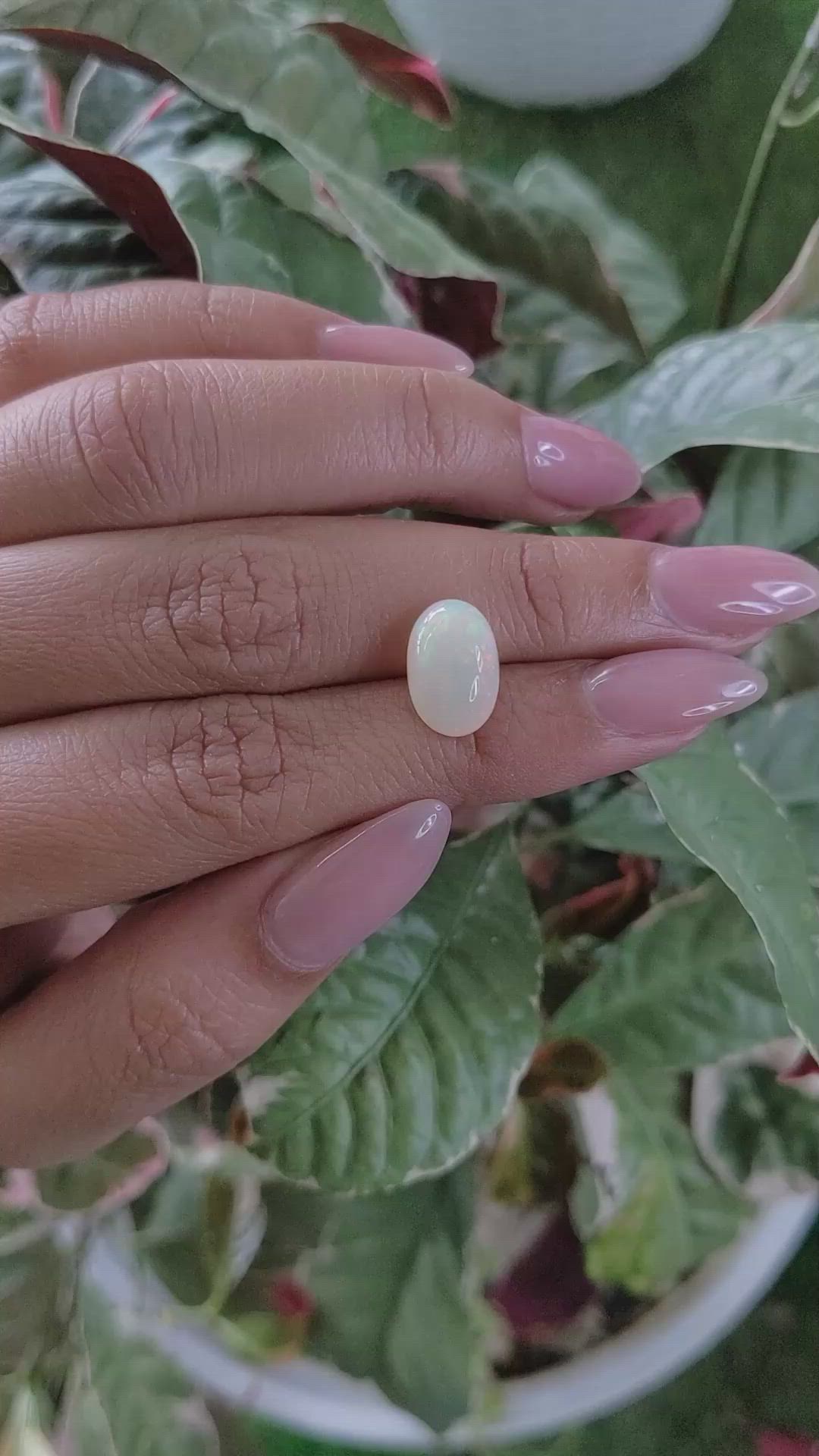 2.52 Ct. Cabochon White Opal from Brazil Size Video