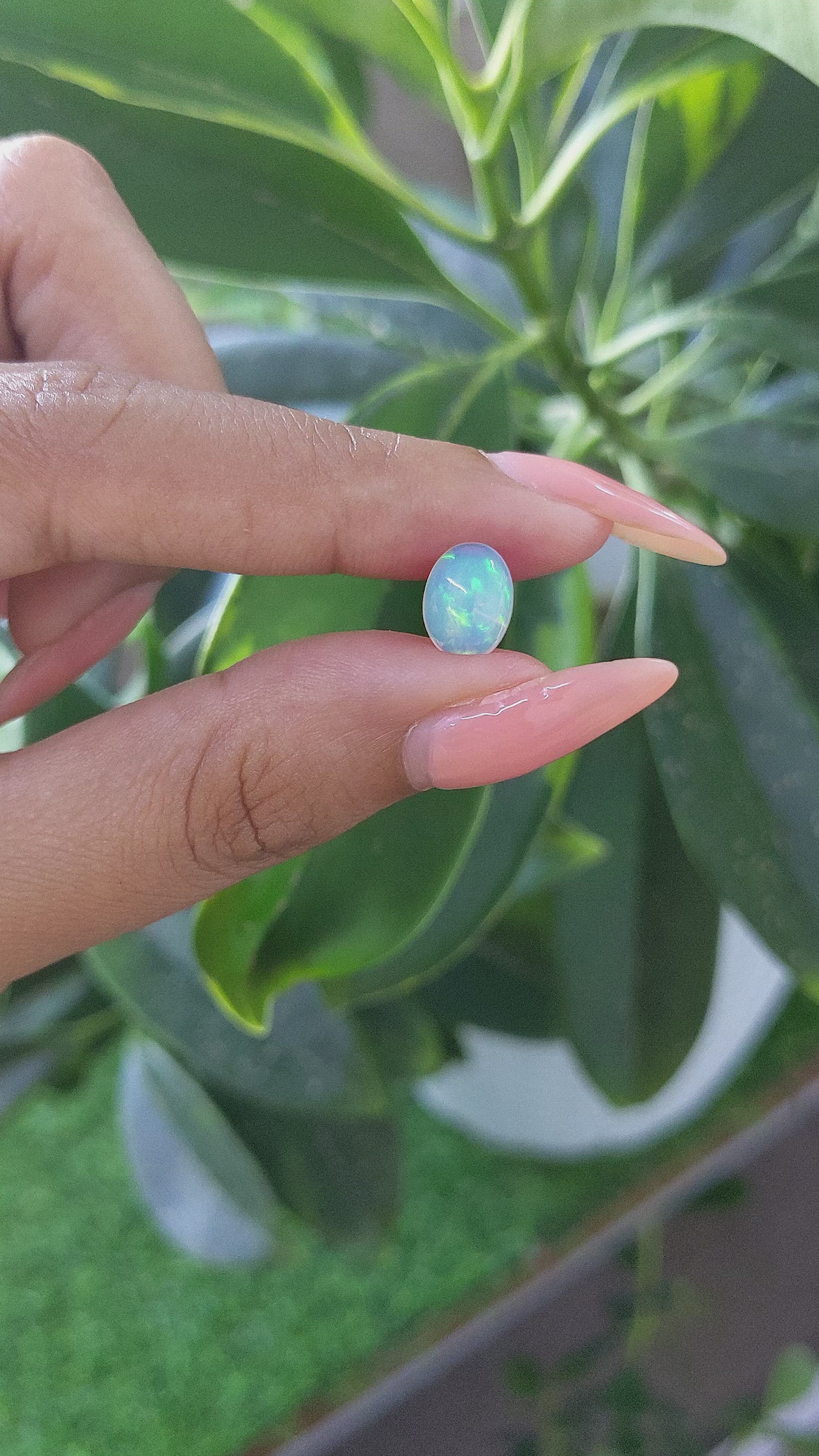 1.58 Ct. Multi Color Cabochon White Opal from Ethiopia Size Video