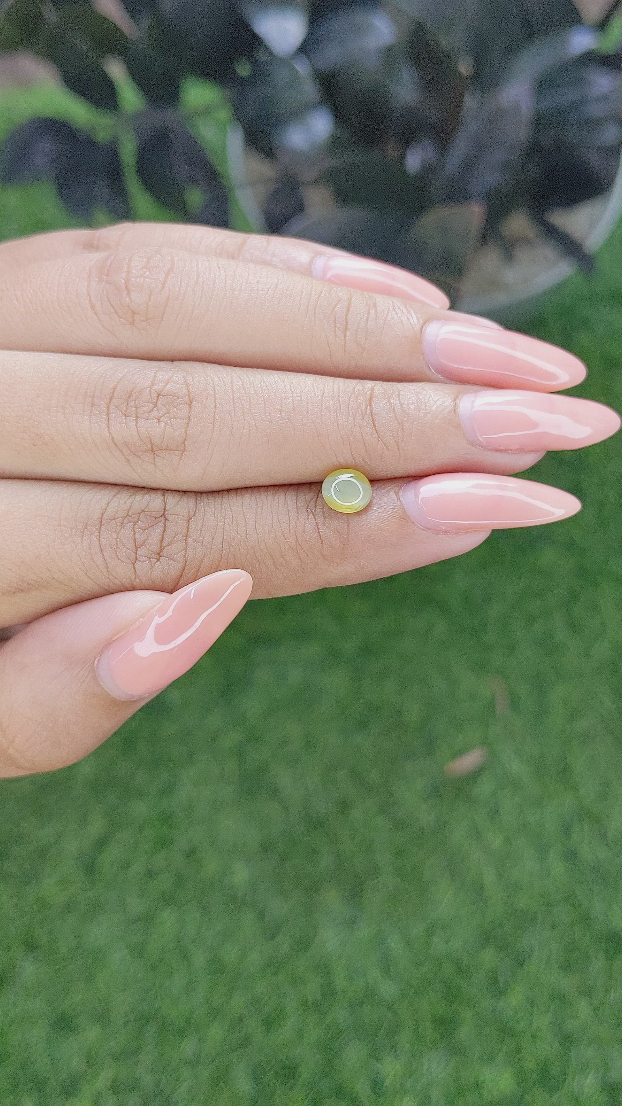 1.21 Ct. Greenish Yellow Cabochon Chrysoberyl from Ceylon (Sri Lanka) Size Video